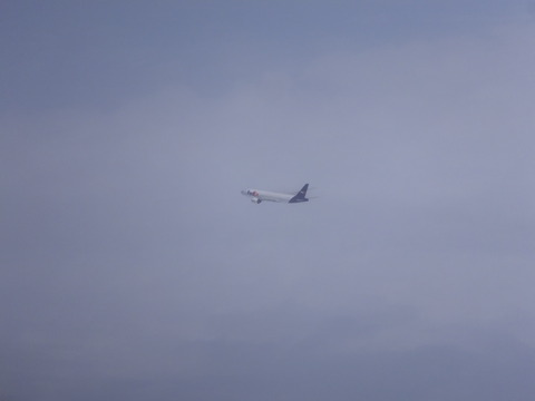 DSCF6950