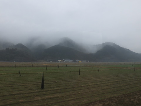 DSCF3727
