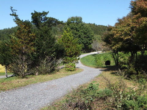 DSCF4675