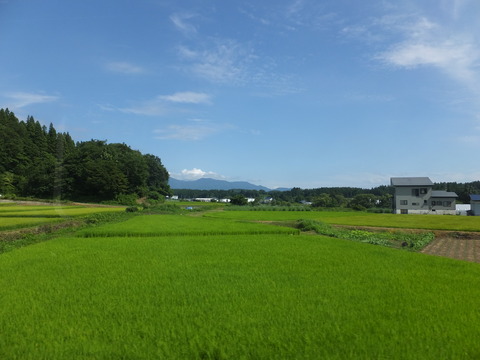 DSCF9572