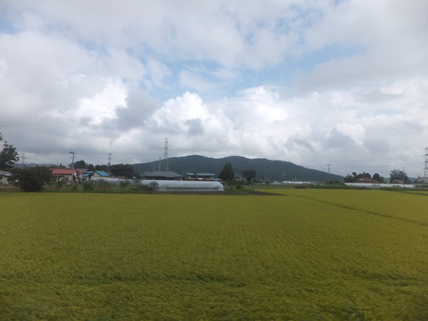 DSCF1106