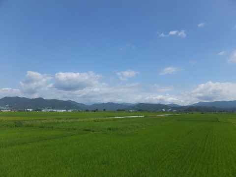 DSCF9551