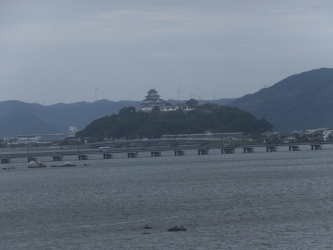 DSCF6934