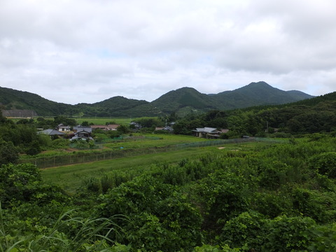 DSCF9068