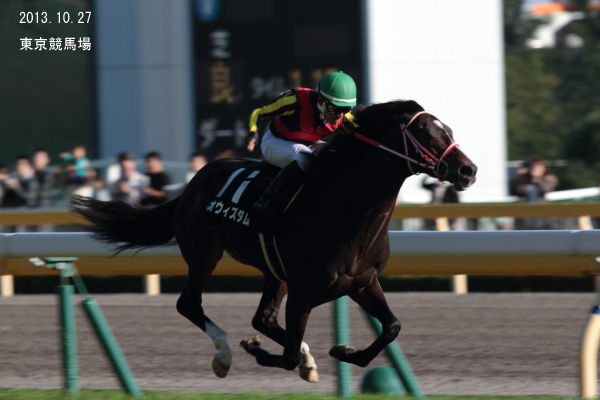 唖然呆然 競馬場の1シーン