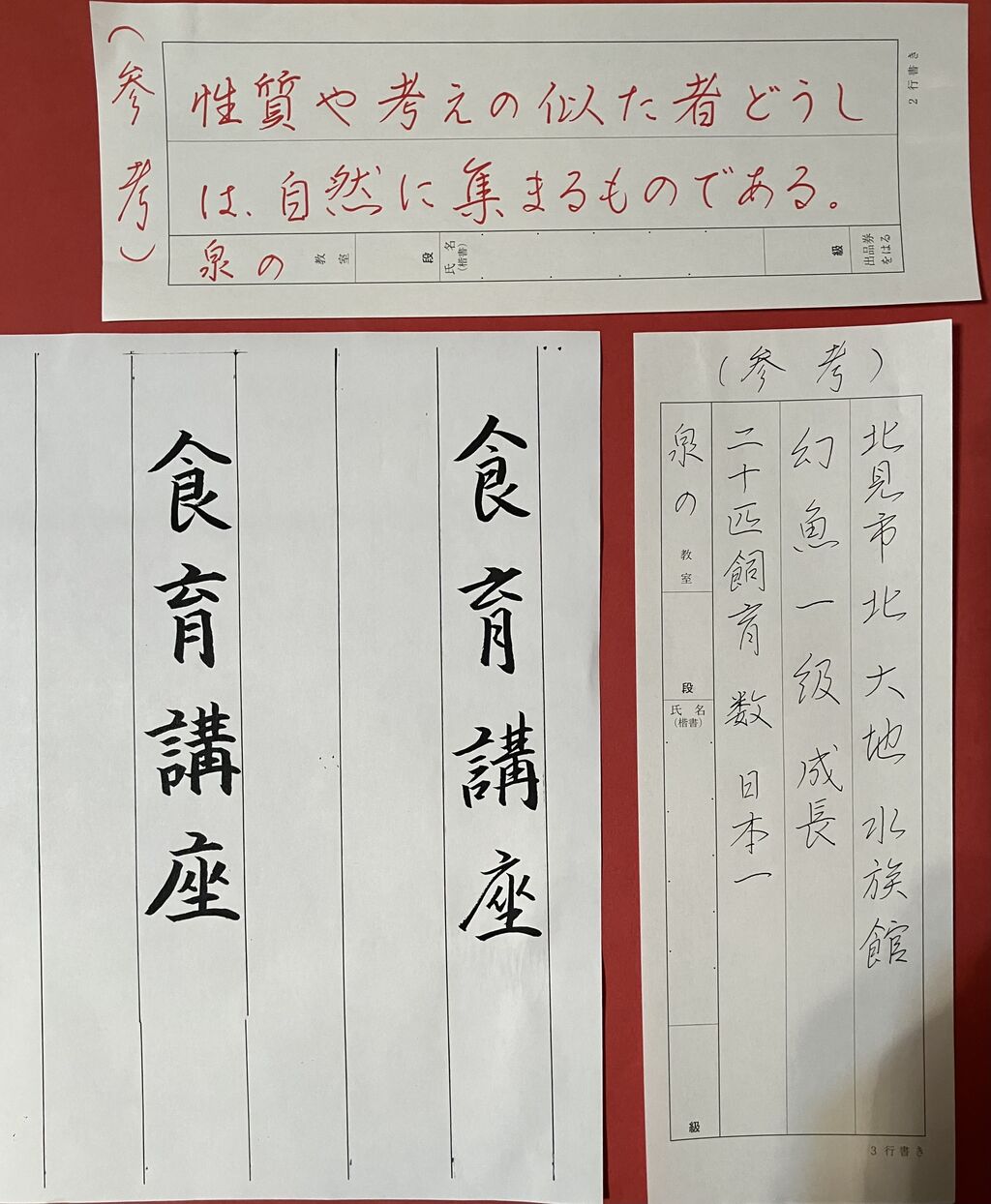 日本書道教育学会 書道 ペン字 不二 ペンの力 2月号 参考手本 : 美文字整形 ボールペン字 筆ペン 書道 水書道
