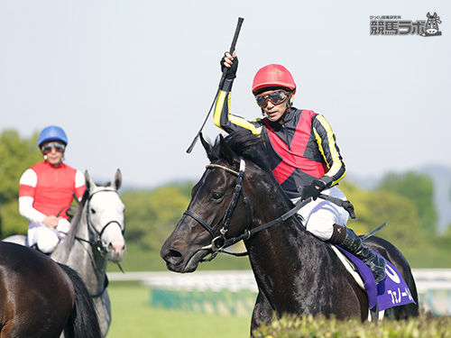 お前の屍を ゴールドシップに破壊された馬達 越えてゆく お馬memory