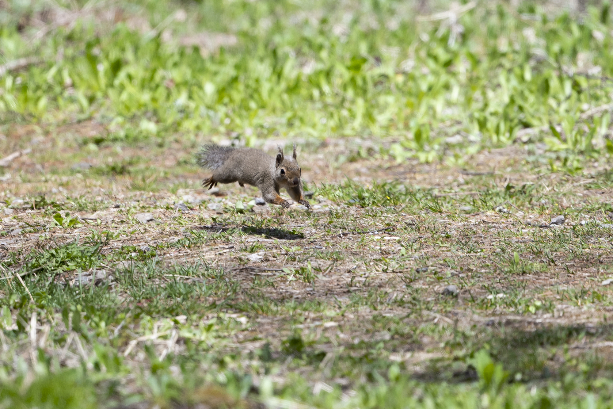 20190503長野 - 7