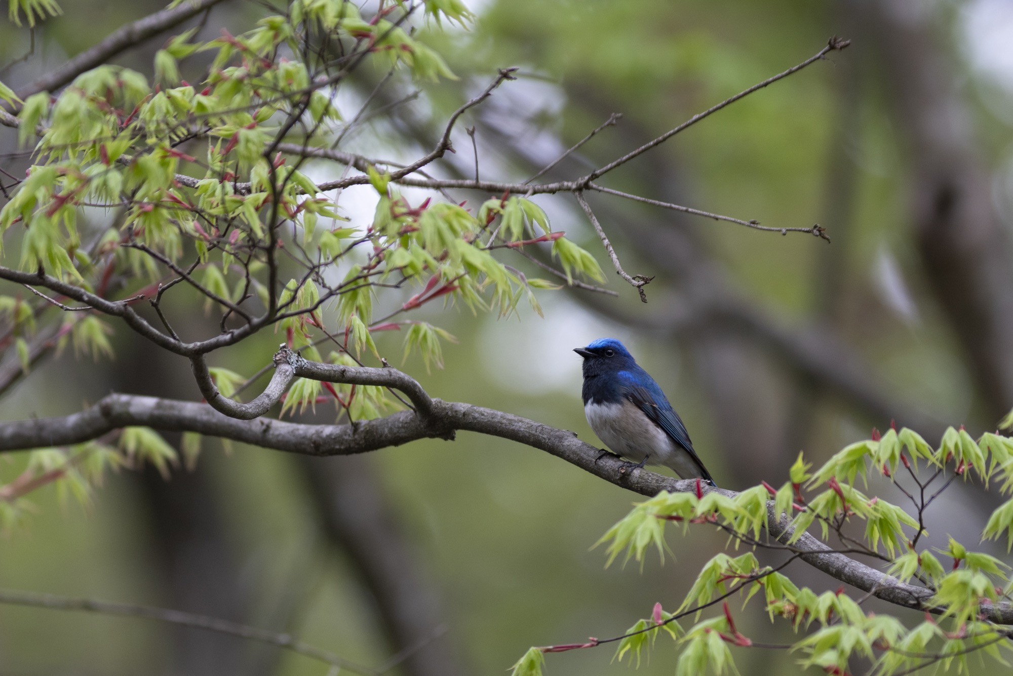 20180502長野 - 3