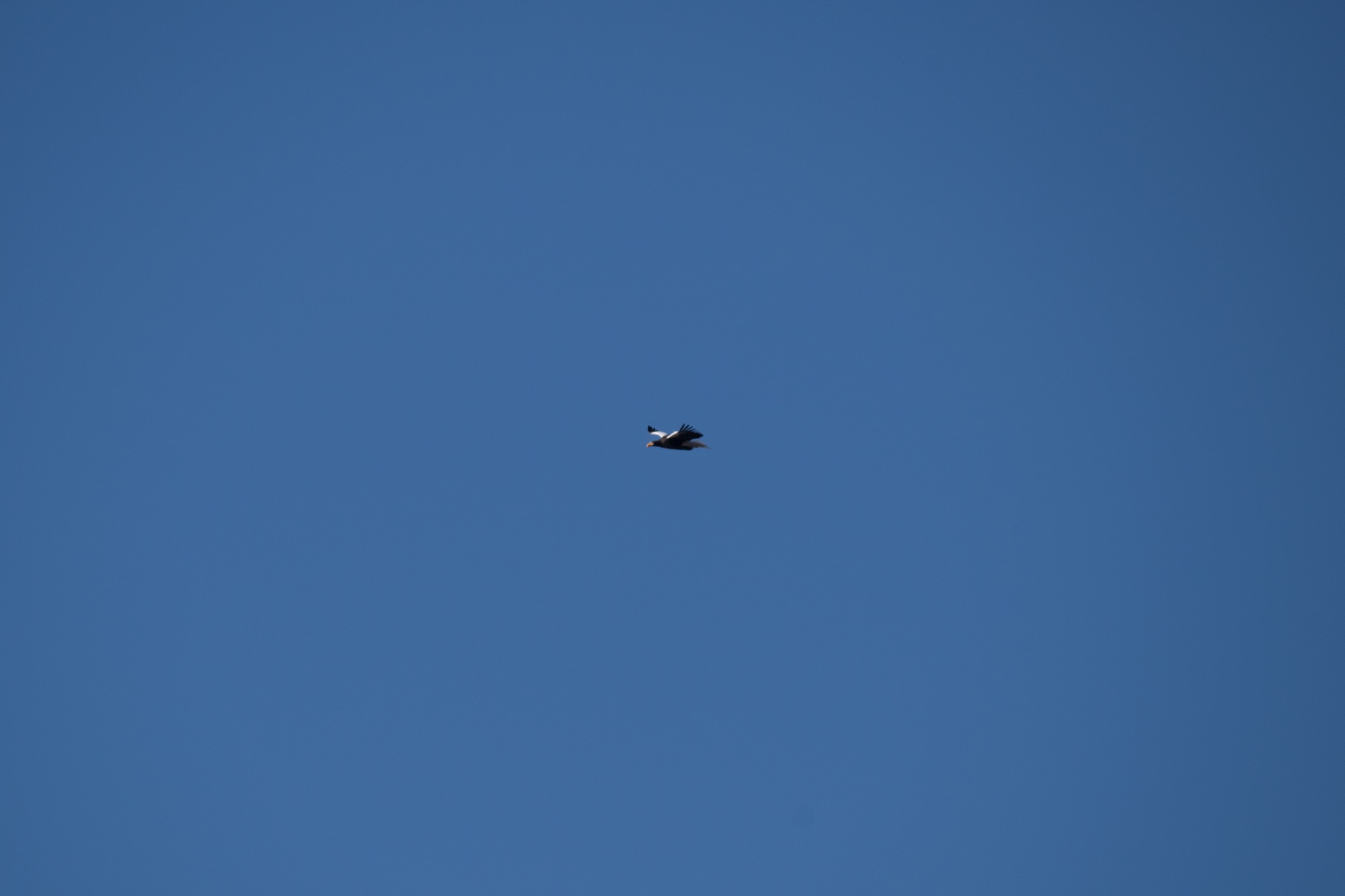 20171223長野 - 6