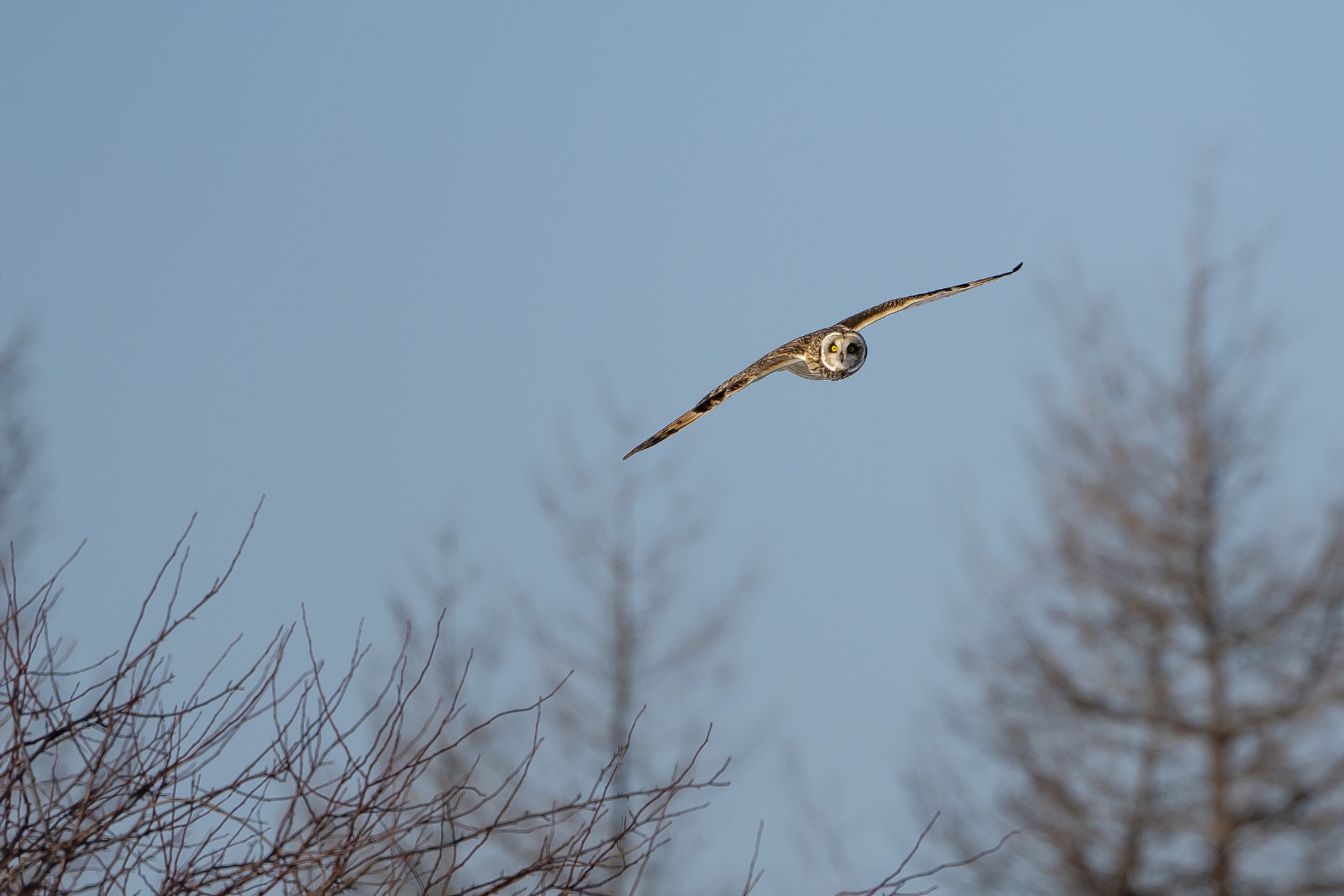 20190202長野 - 6