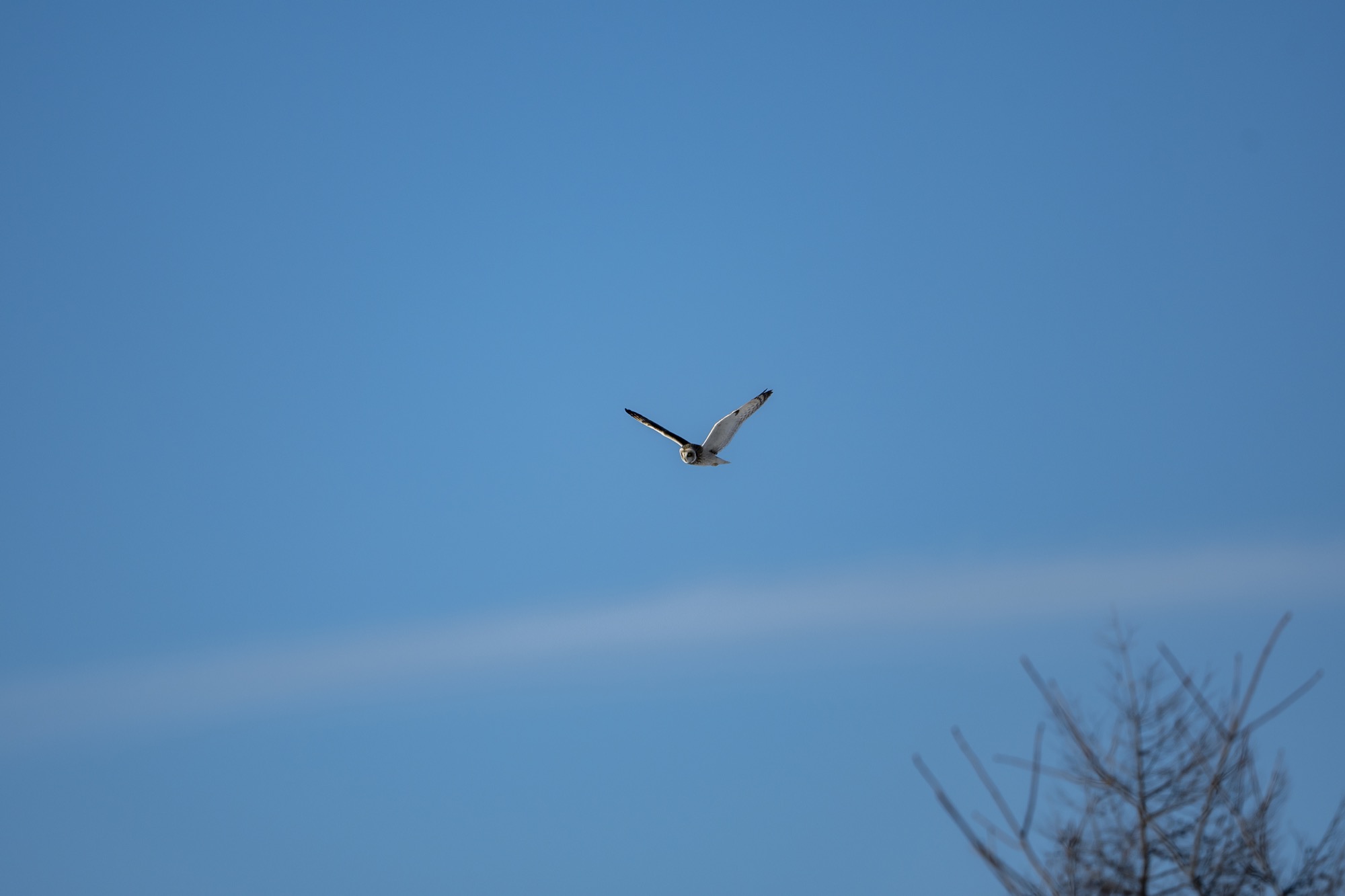 20190202長野 - 26