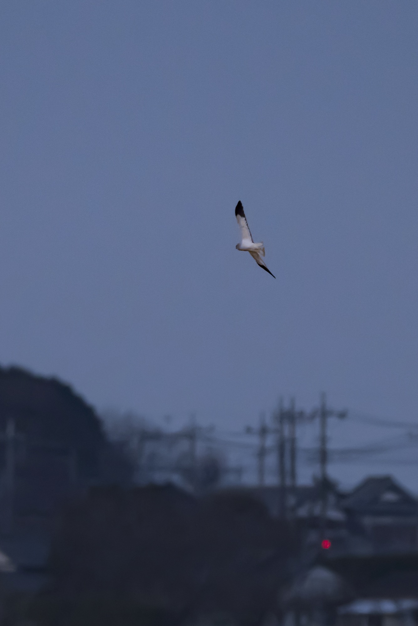 20171210茨城 - 16