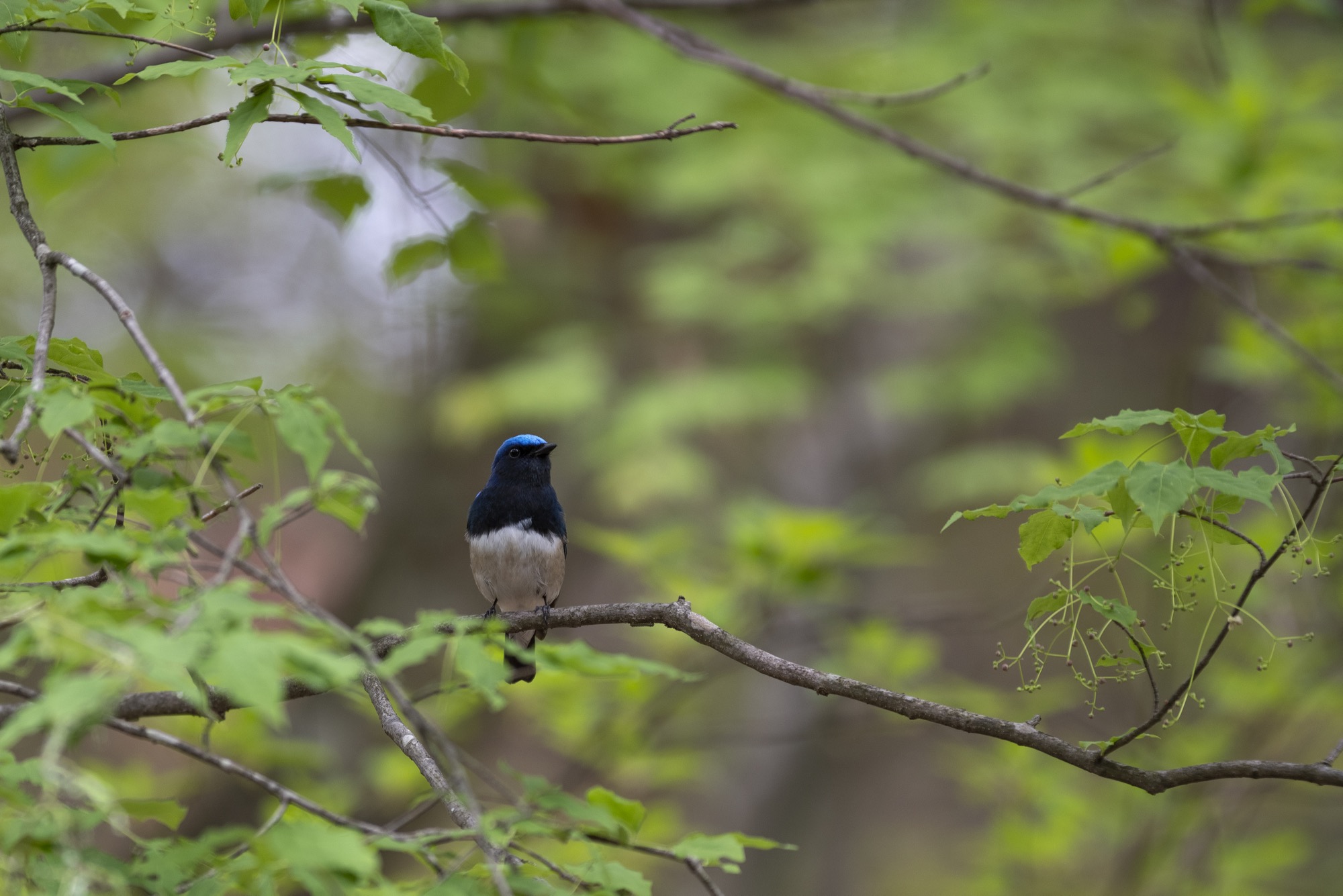 20180502長野 - 6