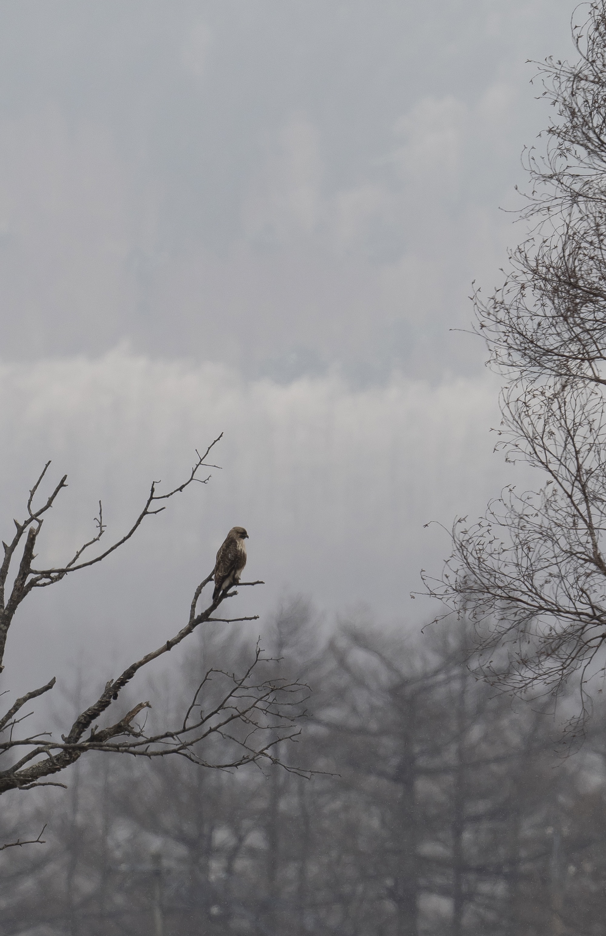 20190303長野 - 1