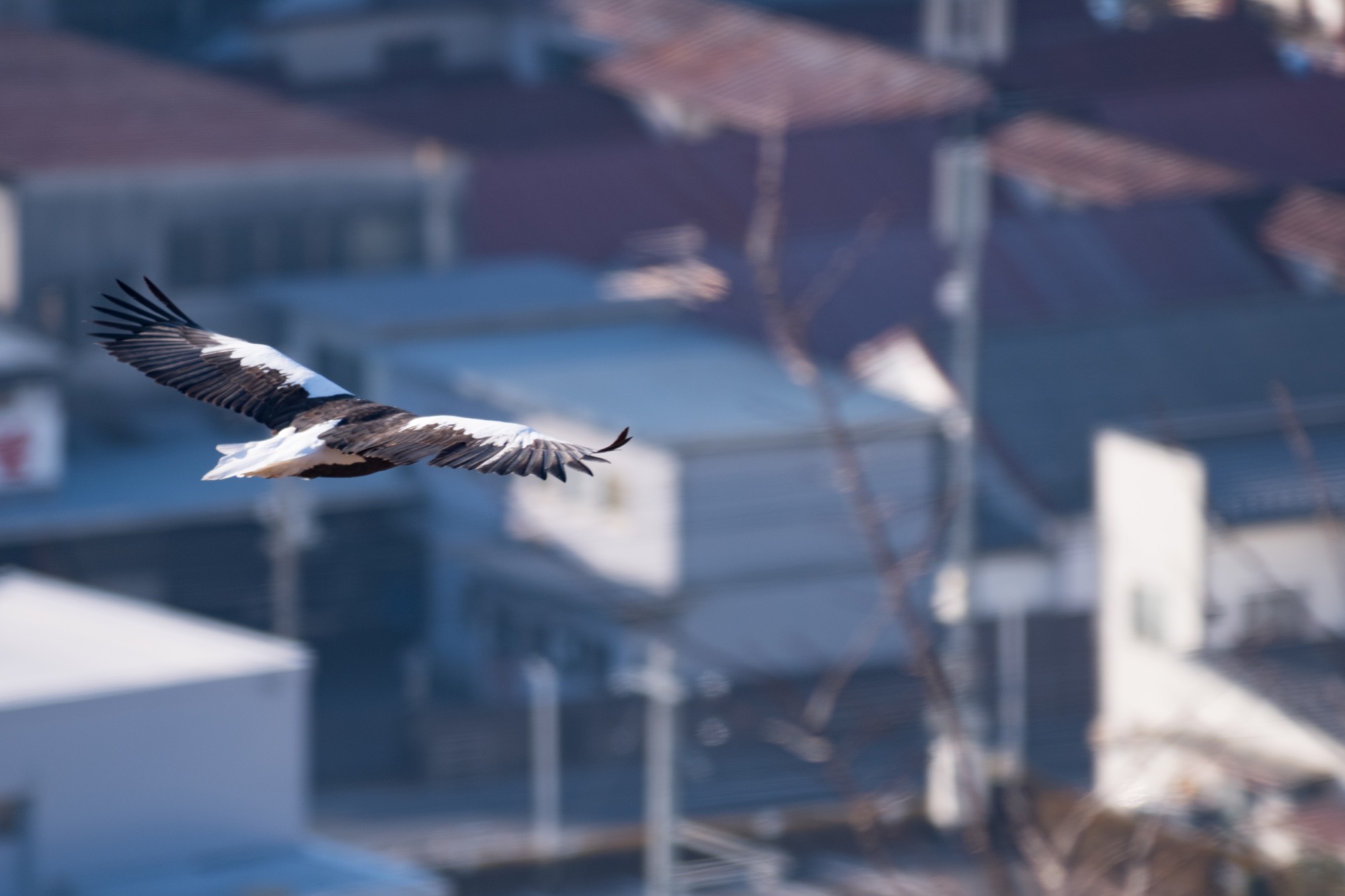 20171223長野 - 13