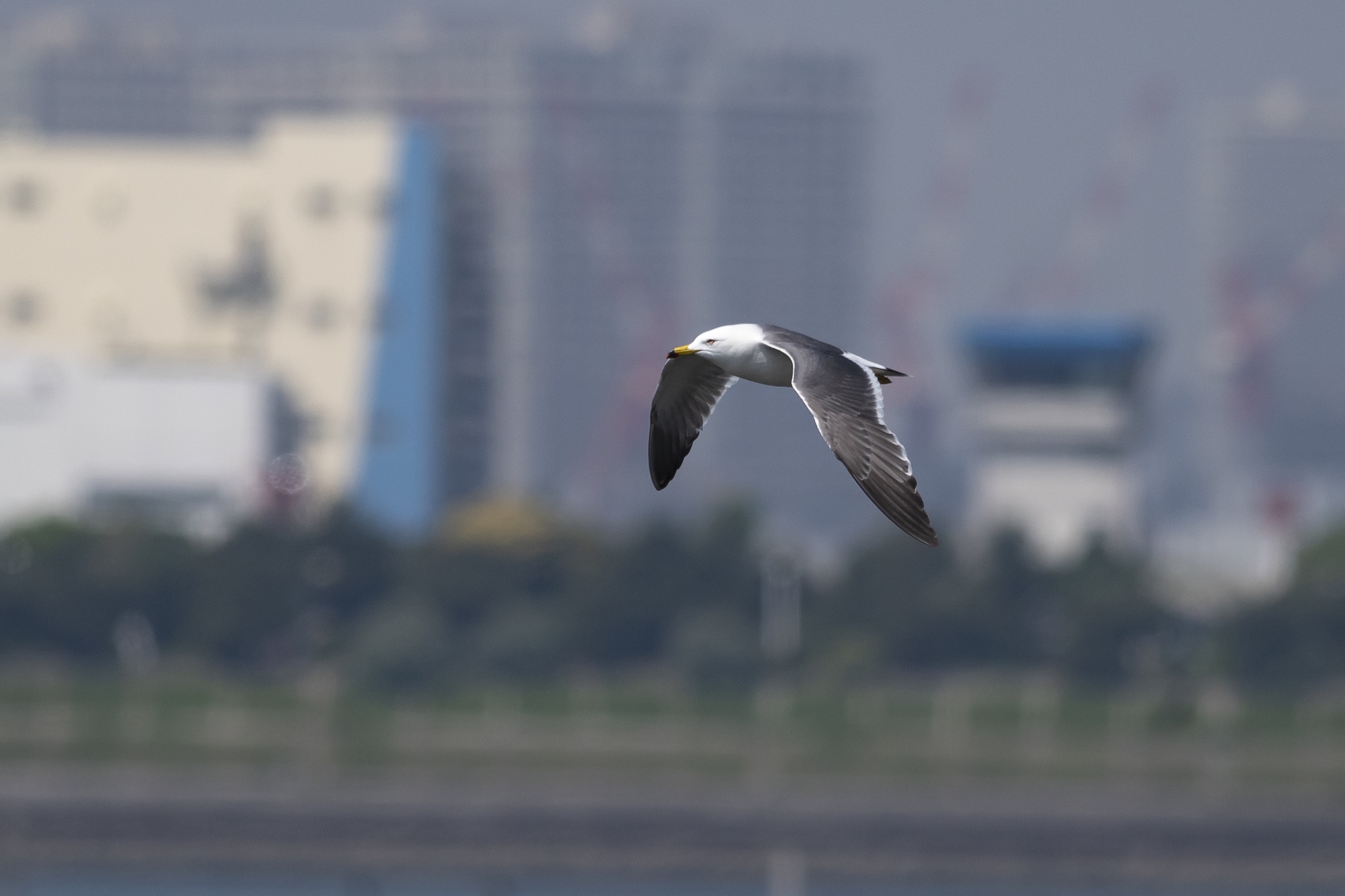 20180501東京 - 1