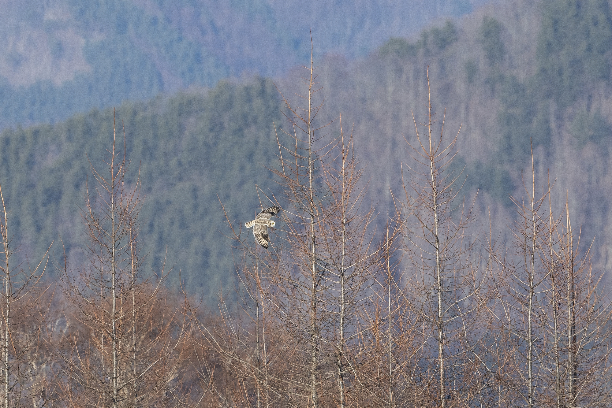 20221231長野 - 8