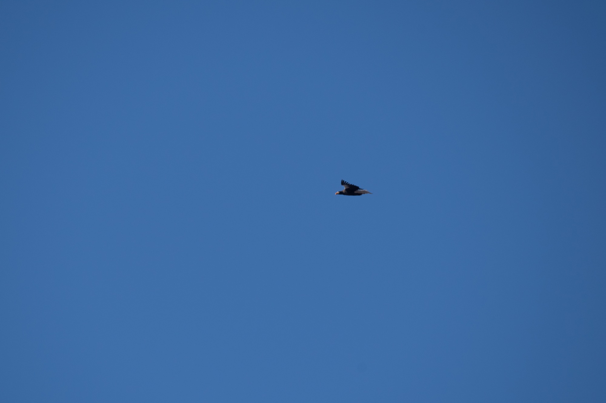 20171223長野 - 8