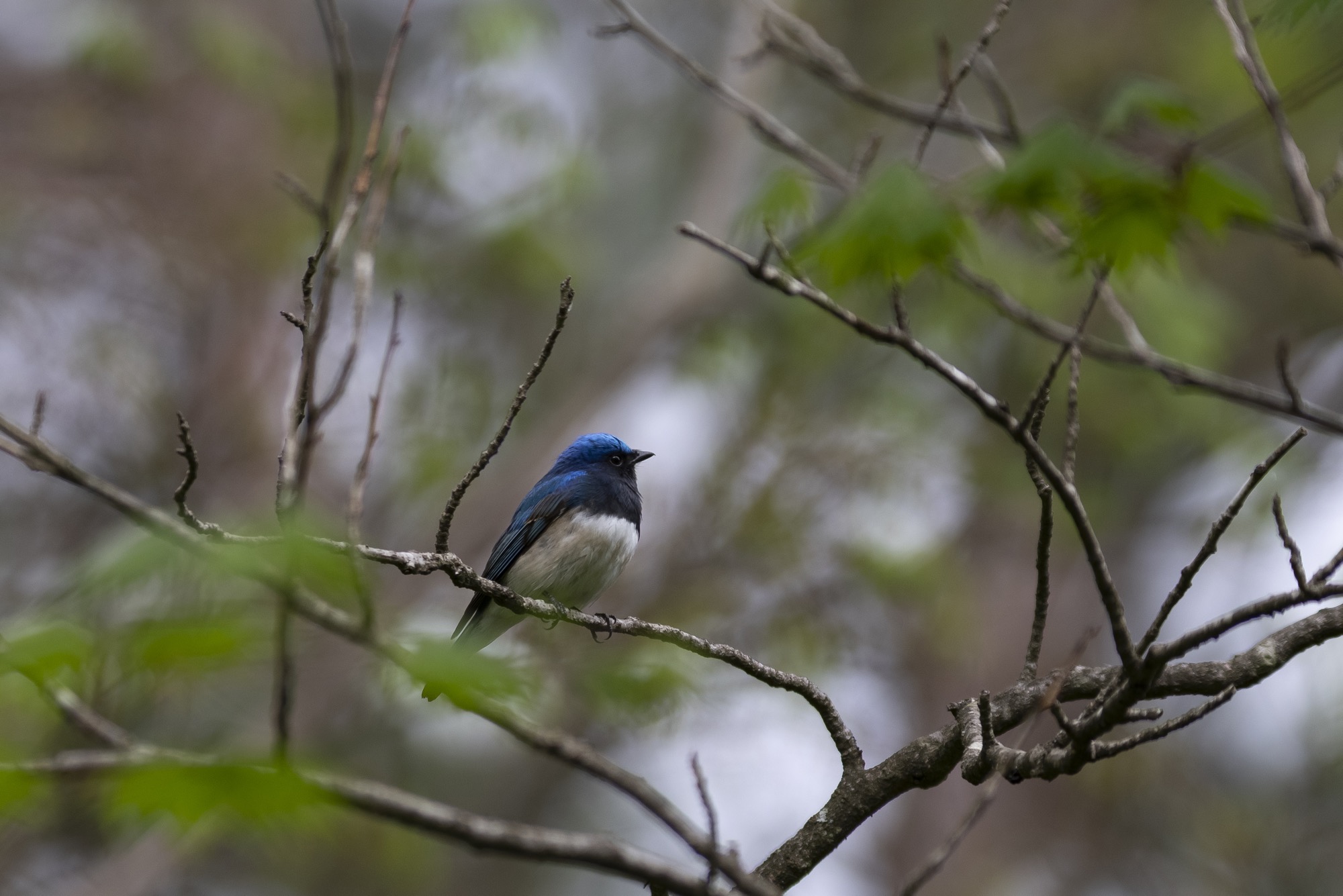 20180502長野 - 1