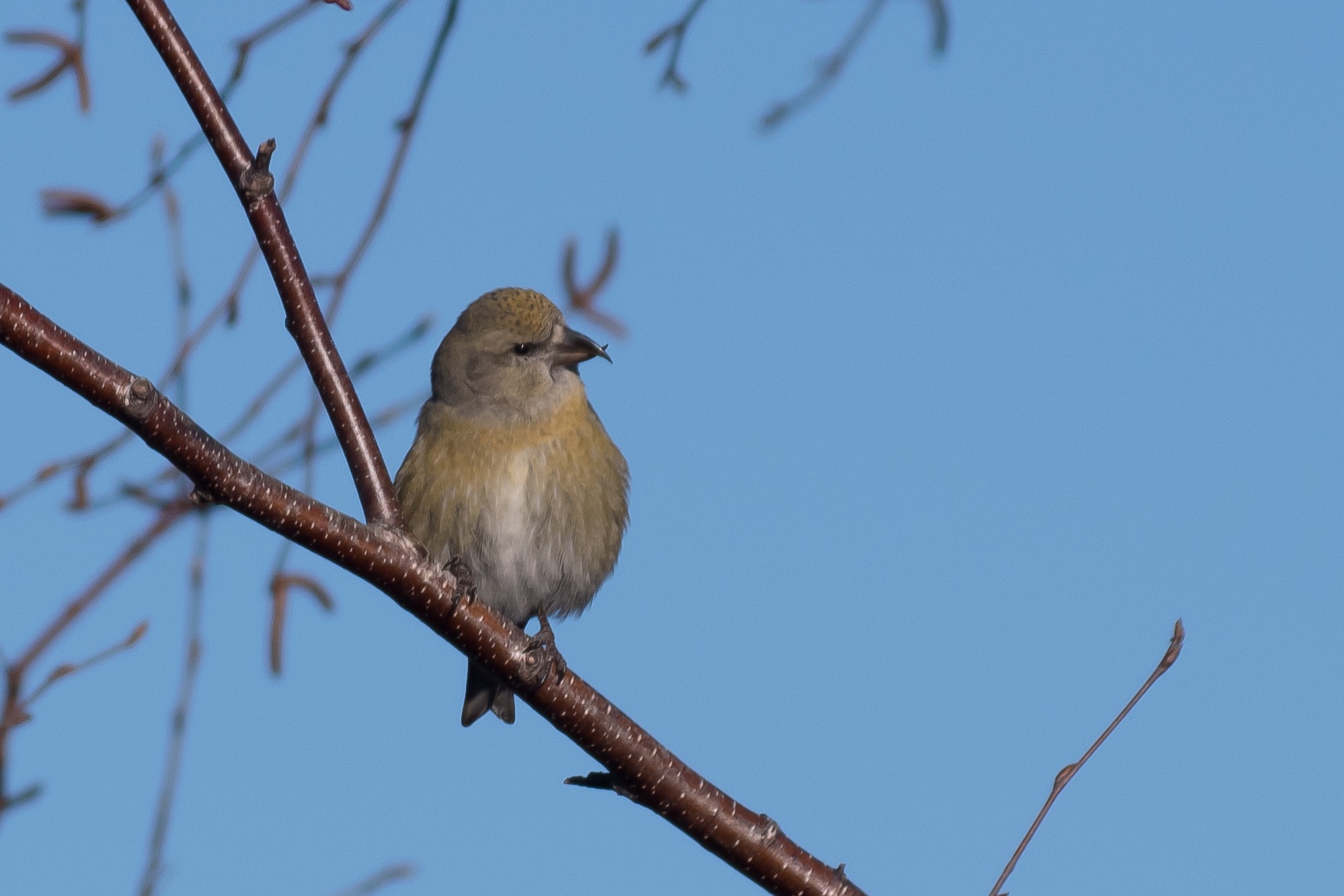 20171222長野 - 7