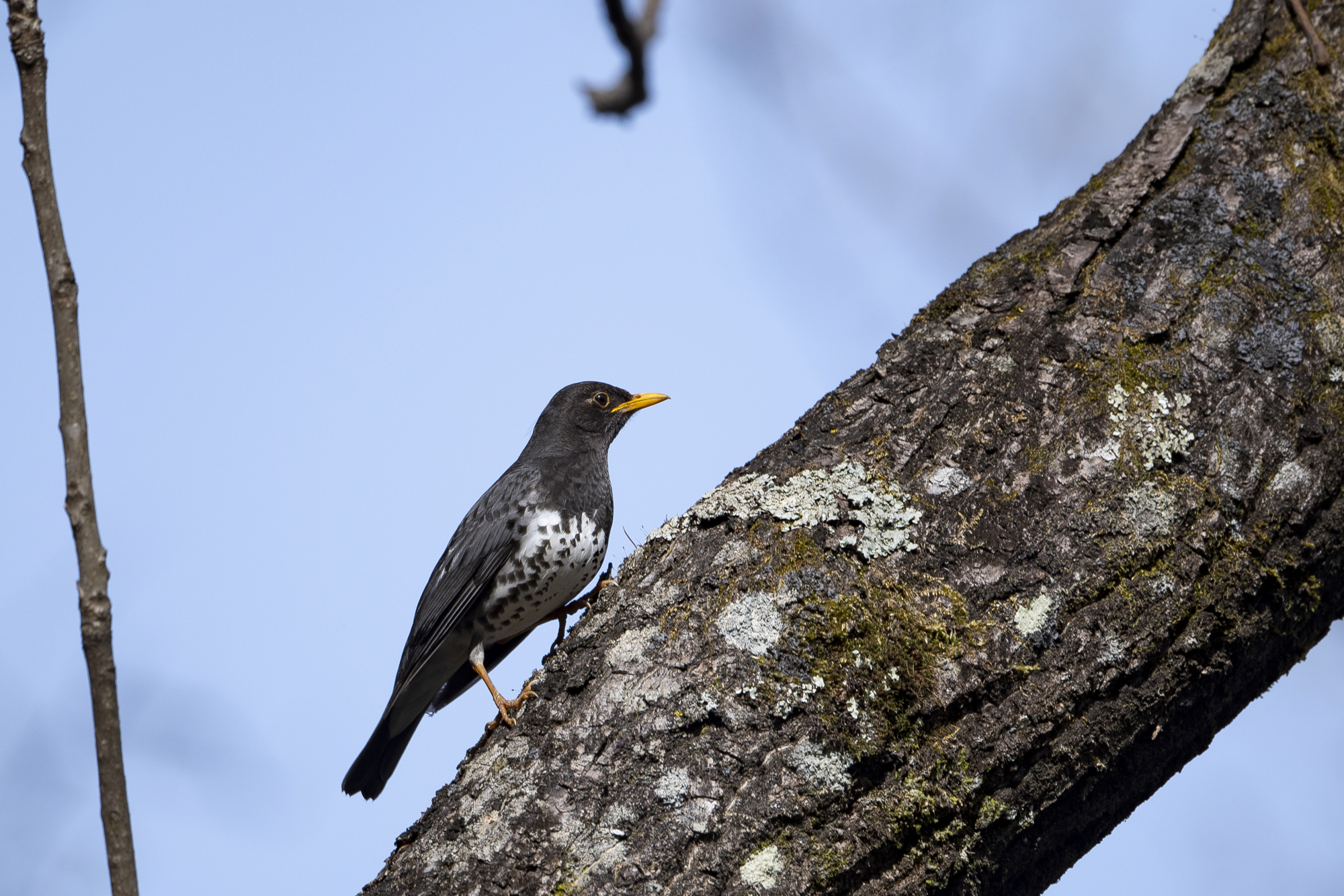 20190503長野 - 3
