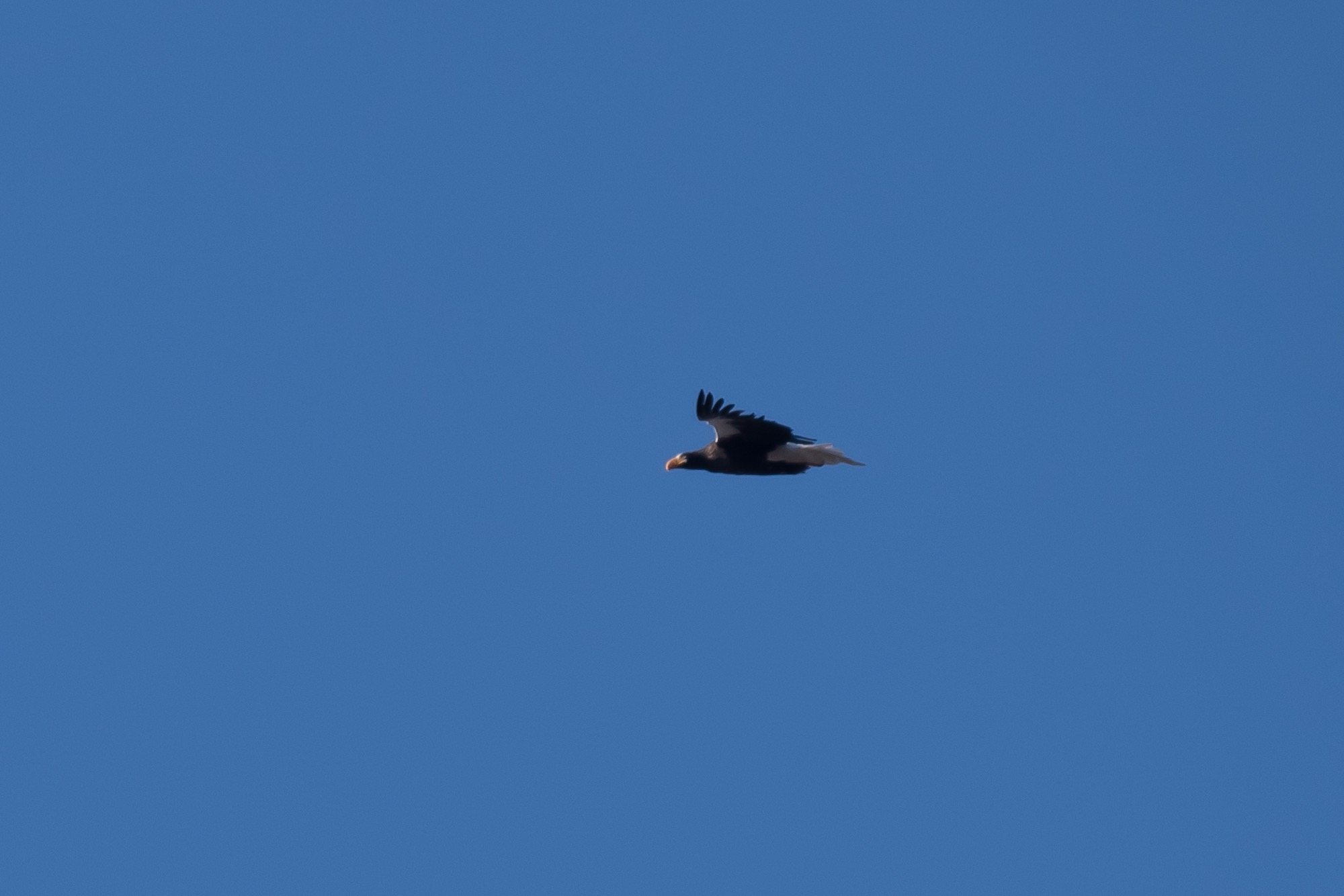 20171223長野 - 9