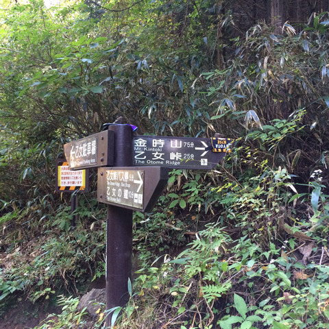 1018金時山 - 1