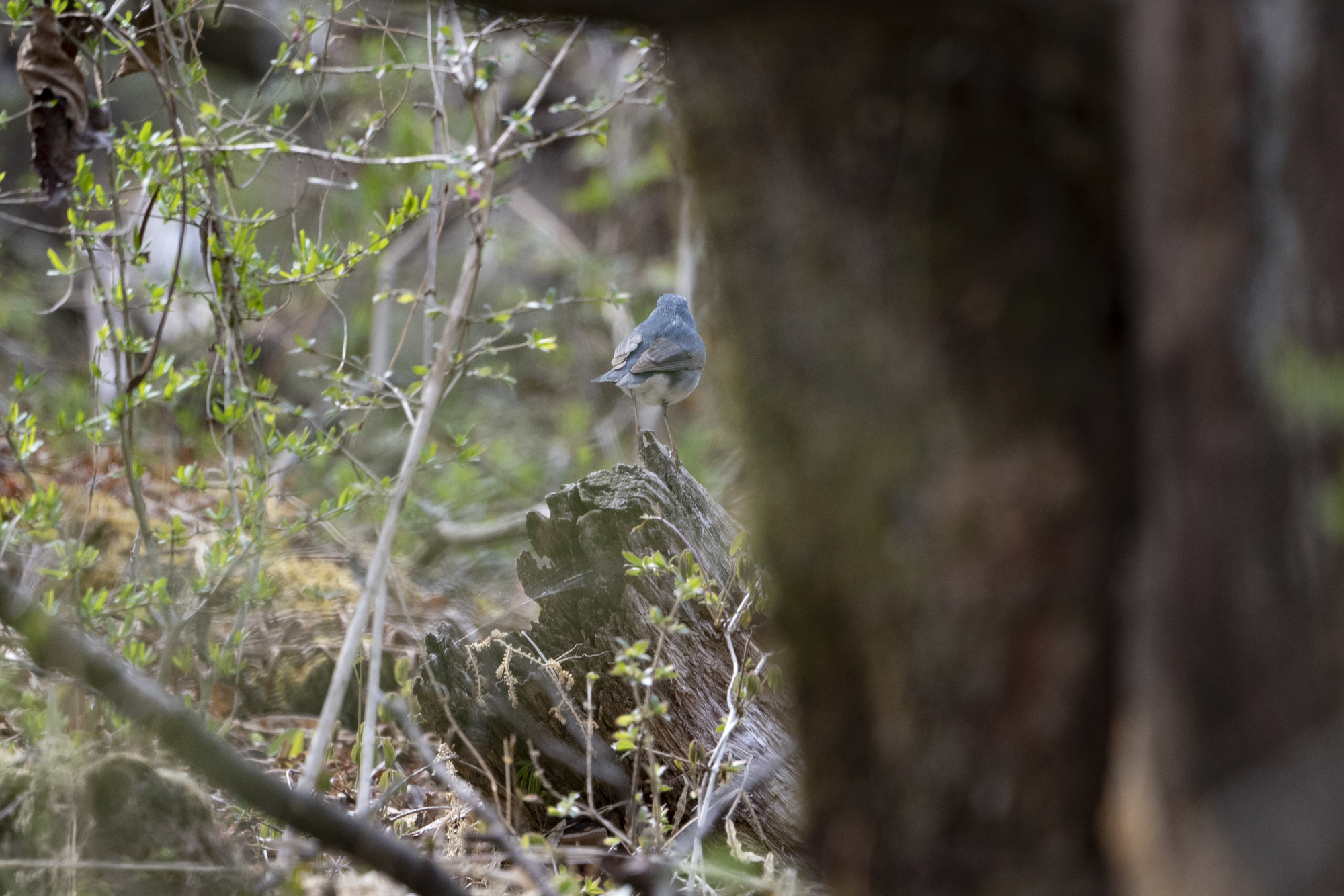 20190503長野 - 6