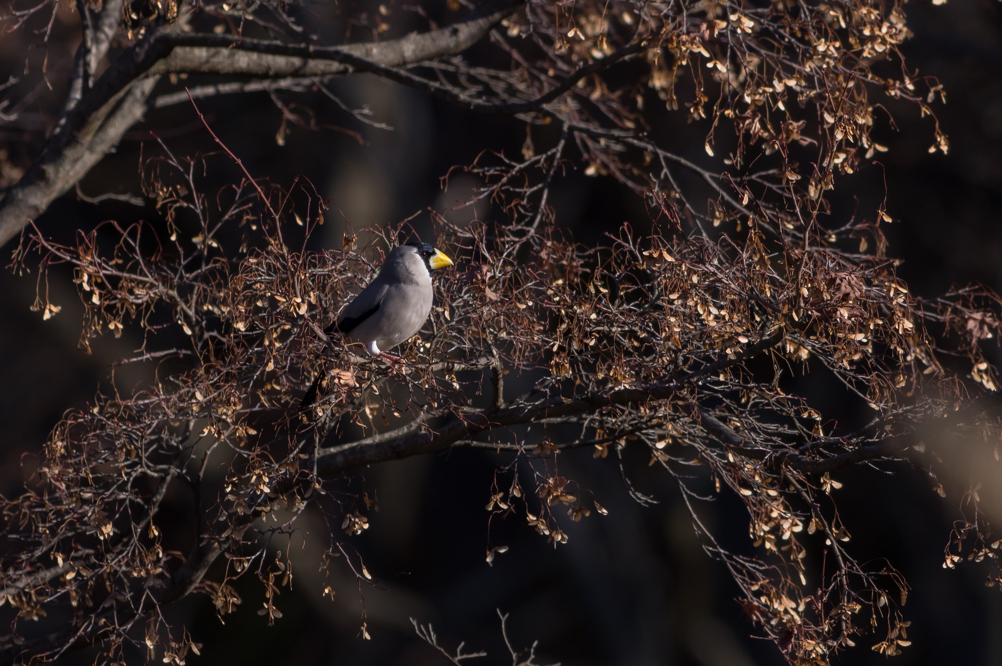 20171223長野 - 2