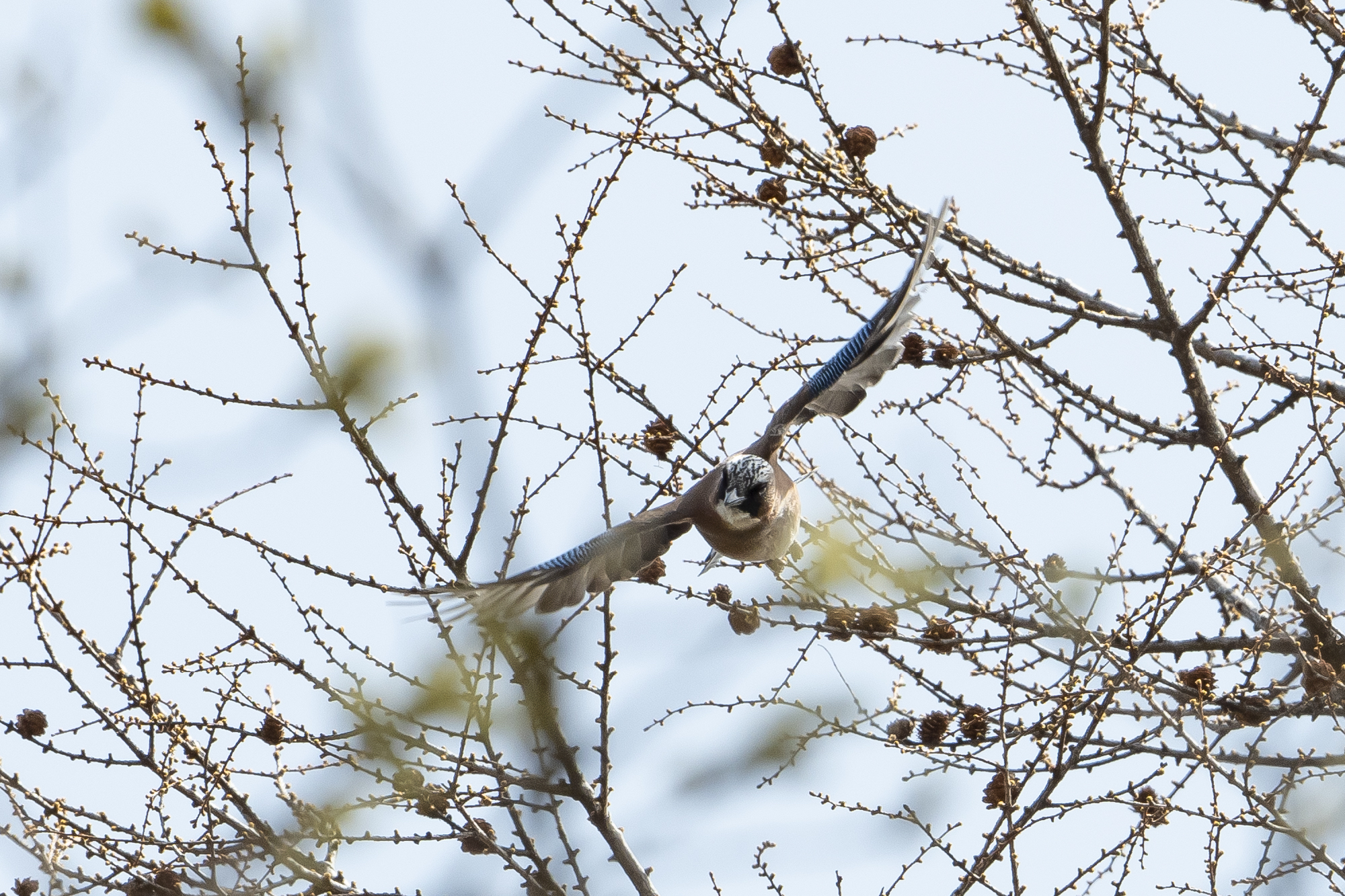 20190505長野 - 9