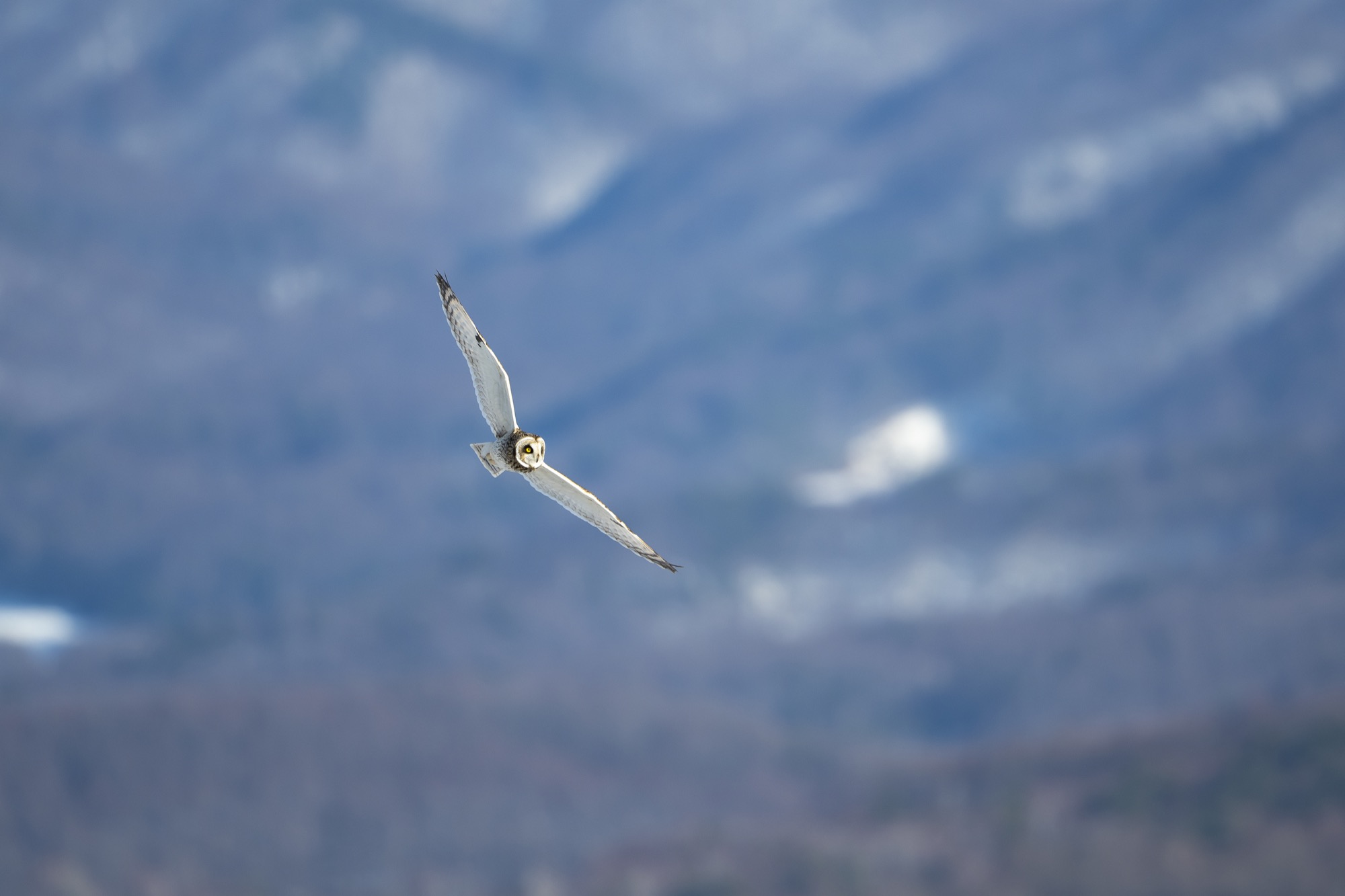 20190202長野 - 17