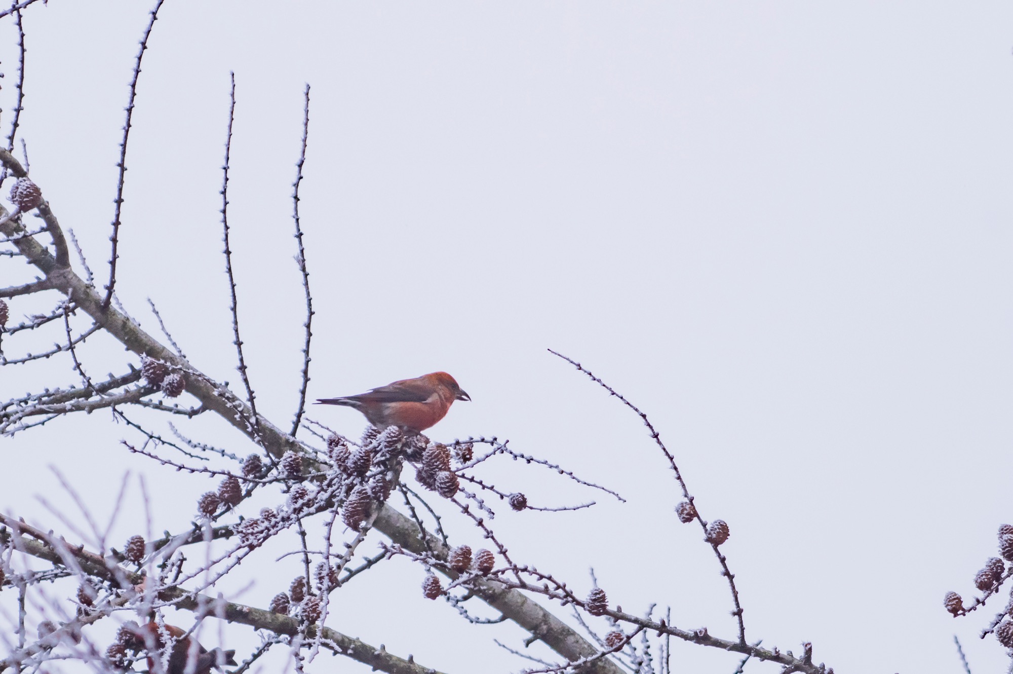 20180120長野 - 3