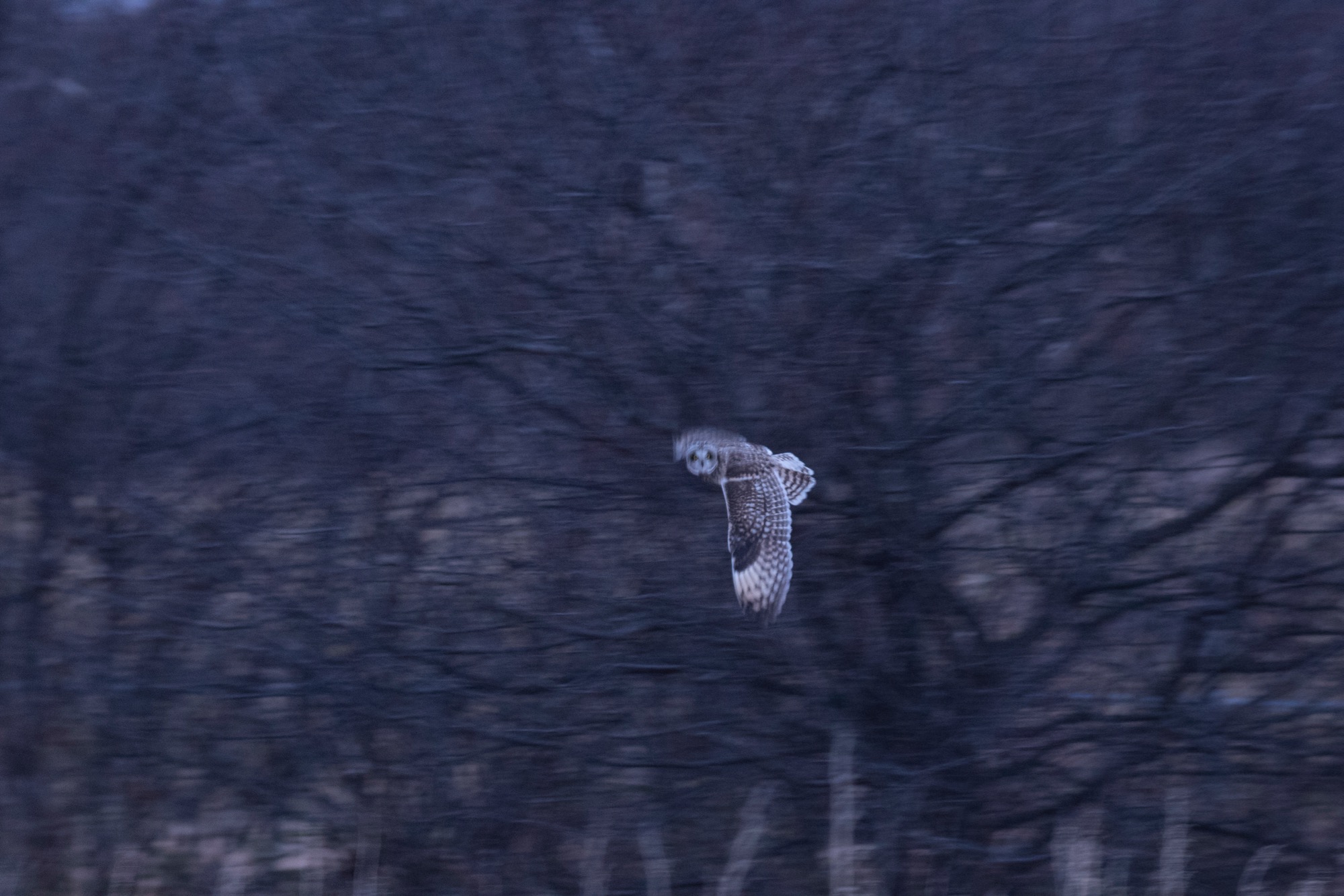 20180113長野 - 11