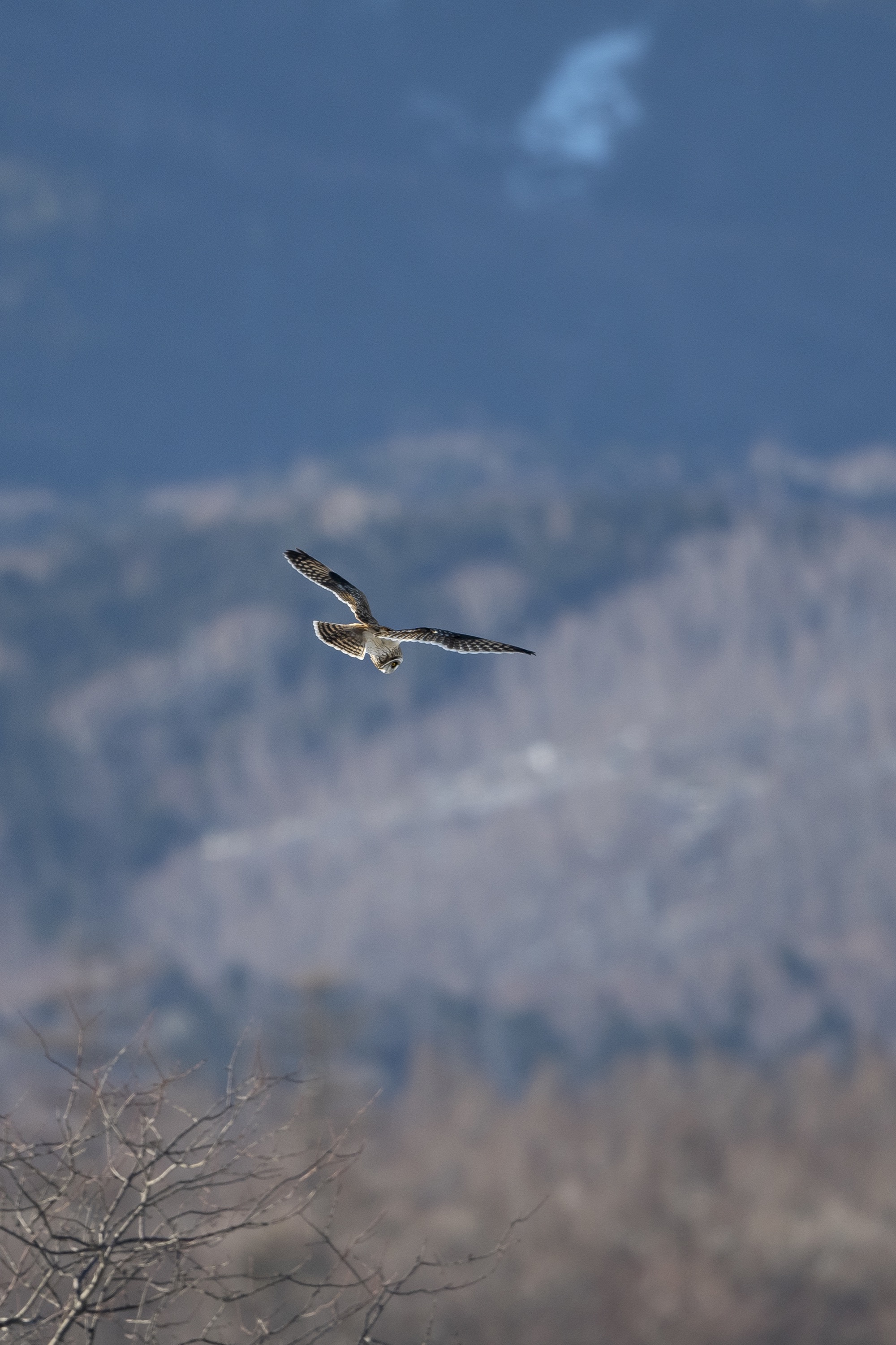 20190202長野 - 27