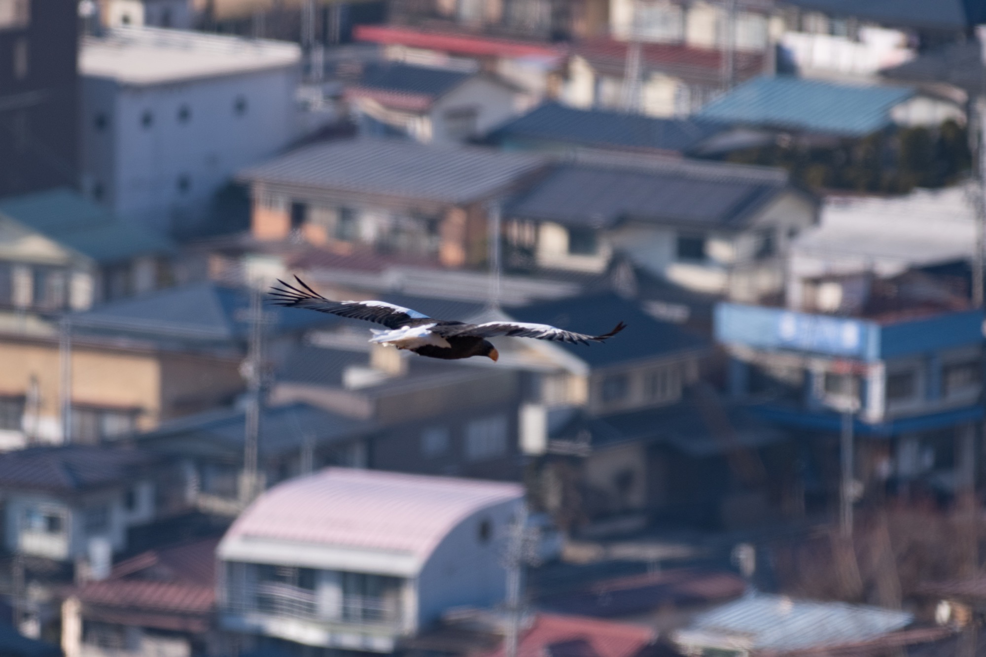 20171223長野 - 15