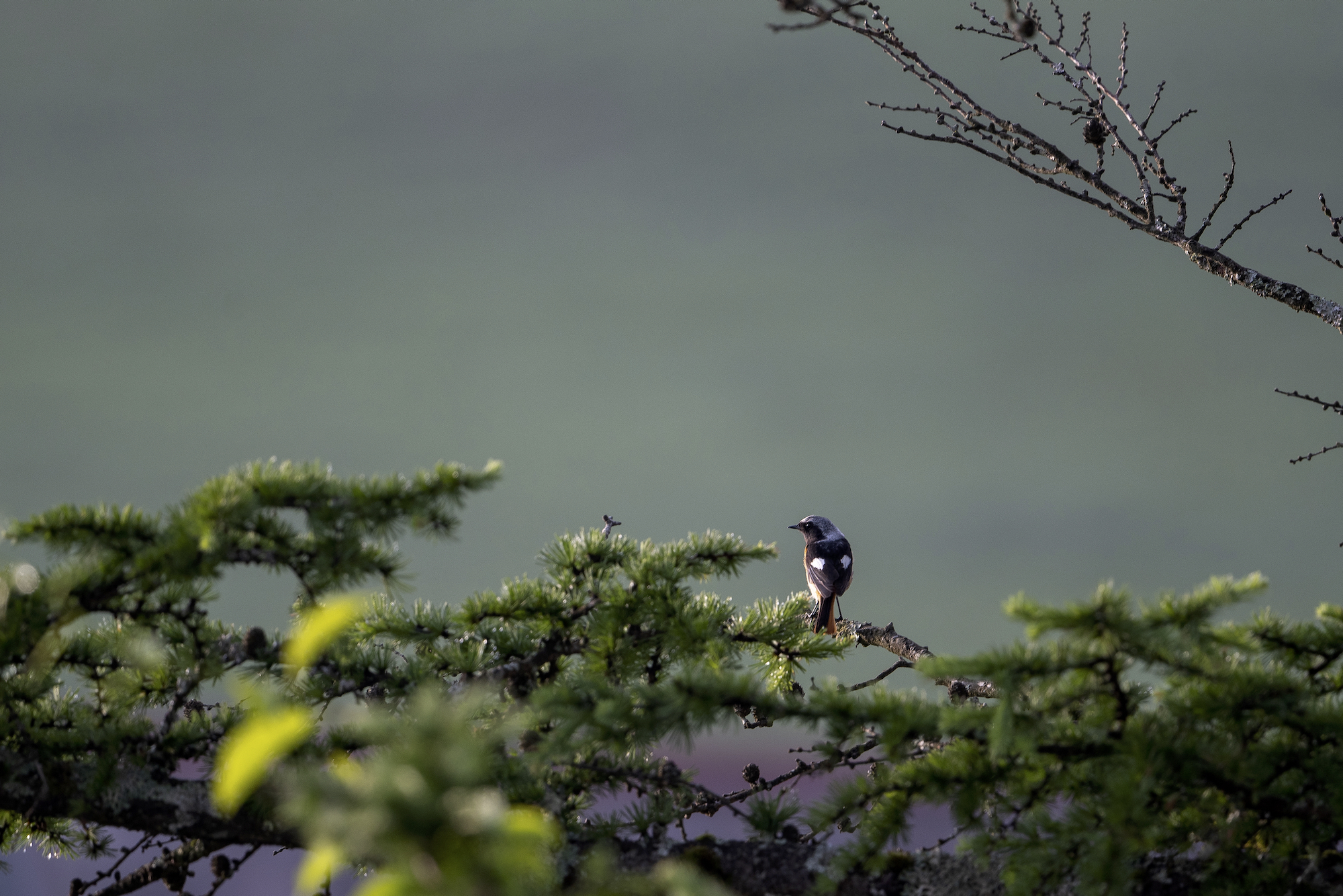 20220709長野 - 1