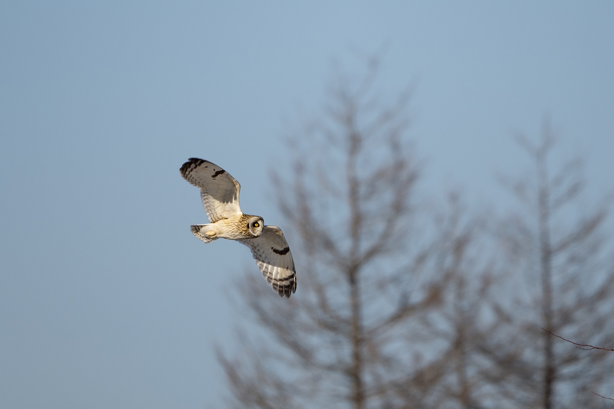 20190202長野 - 7