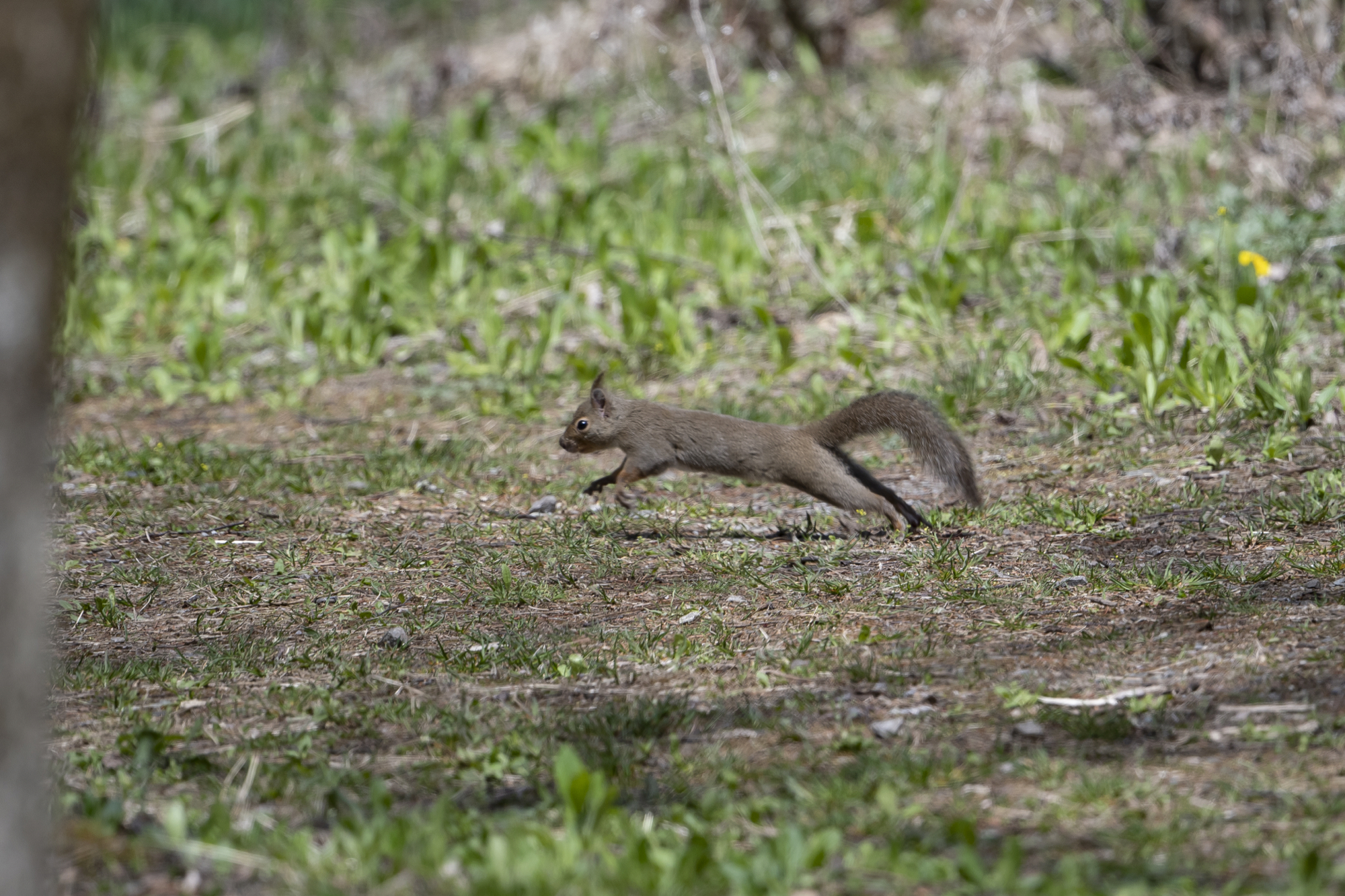 20190503長野 - 8