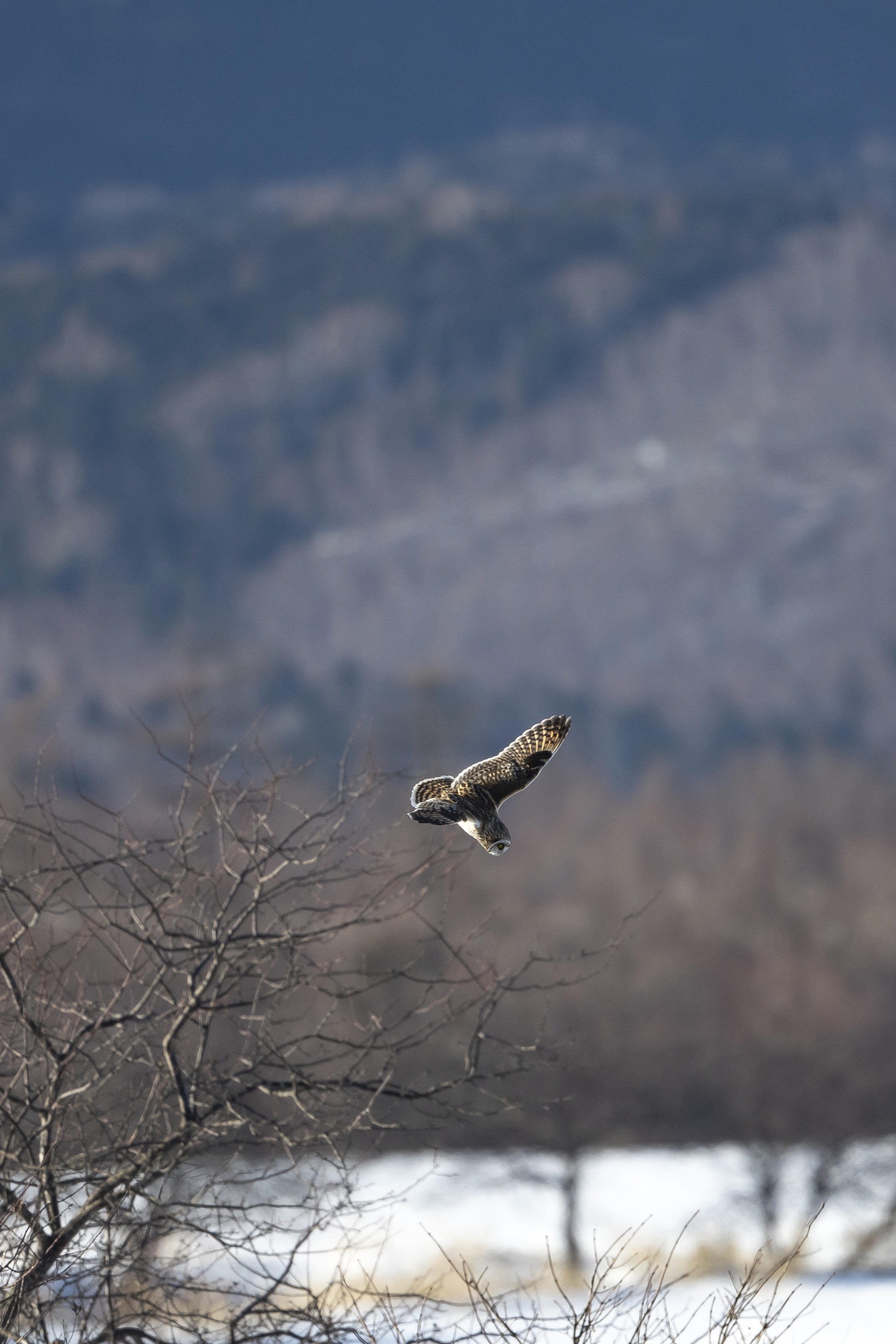 20190202長野 - 32