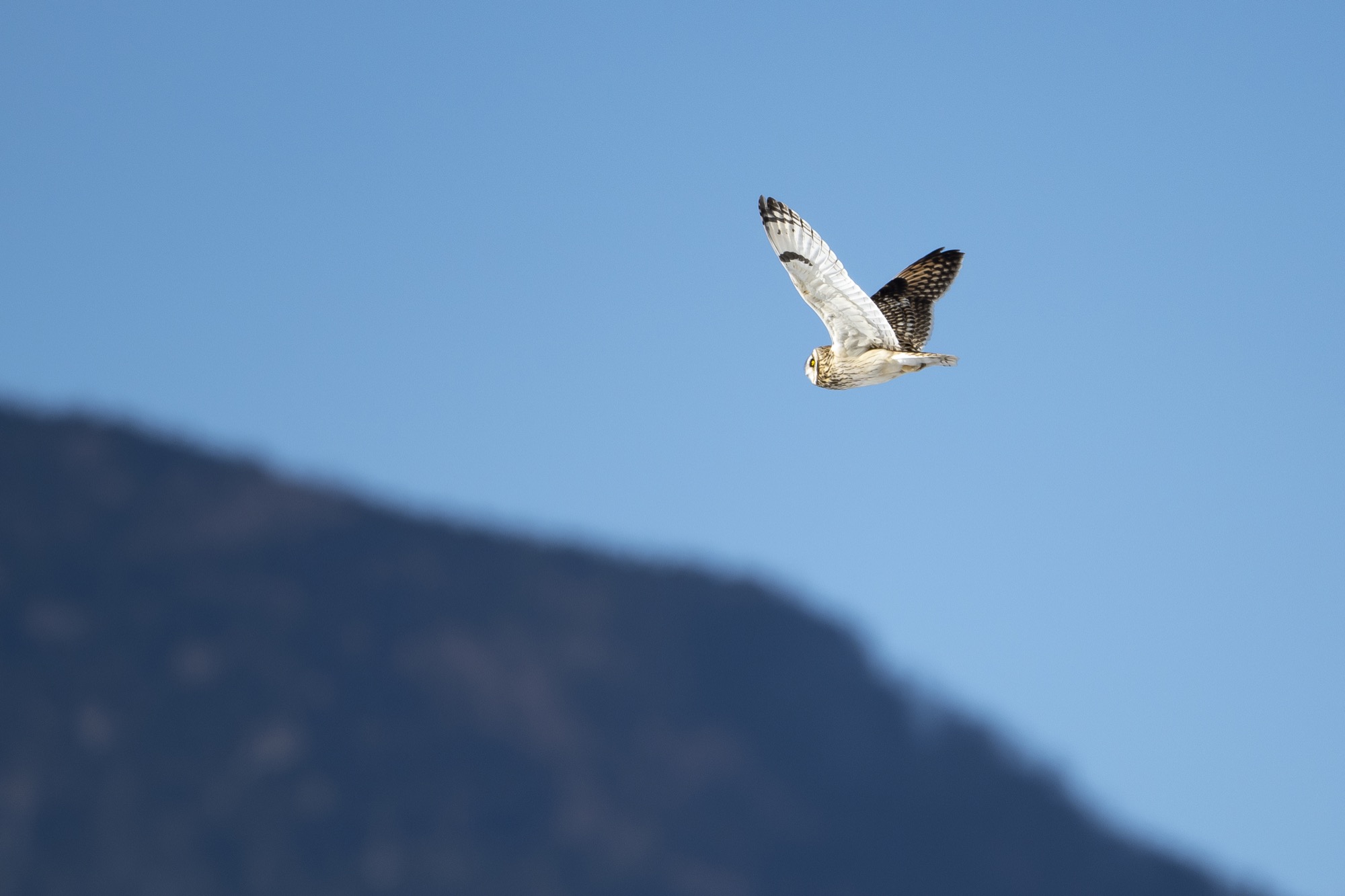 20190202長野 - 8