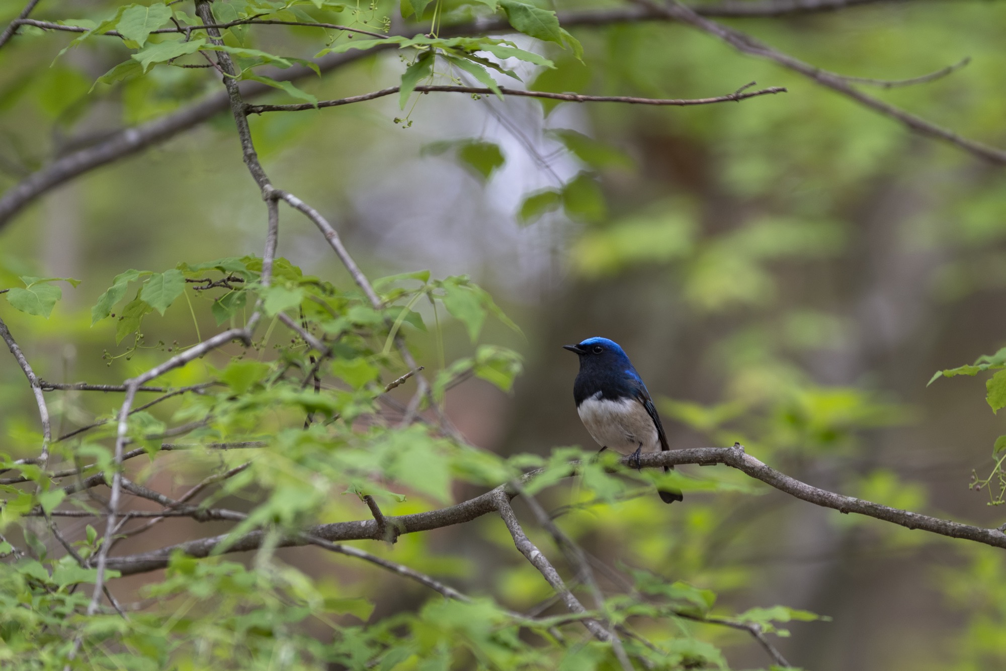 20180502長野 - 5