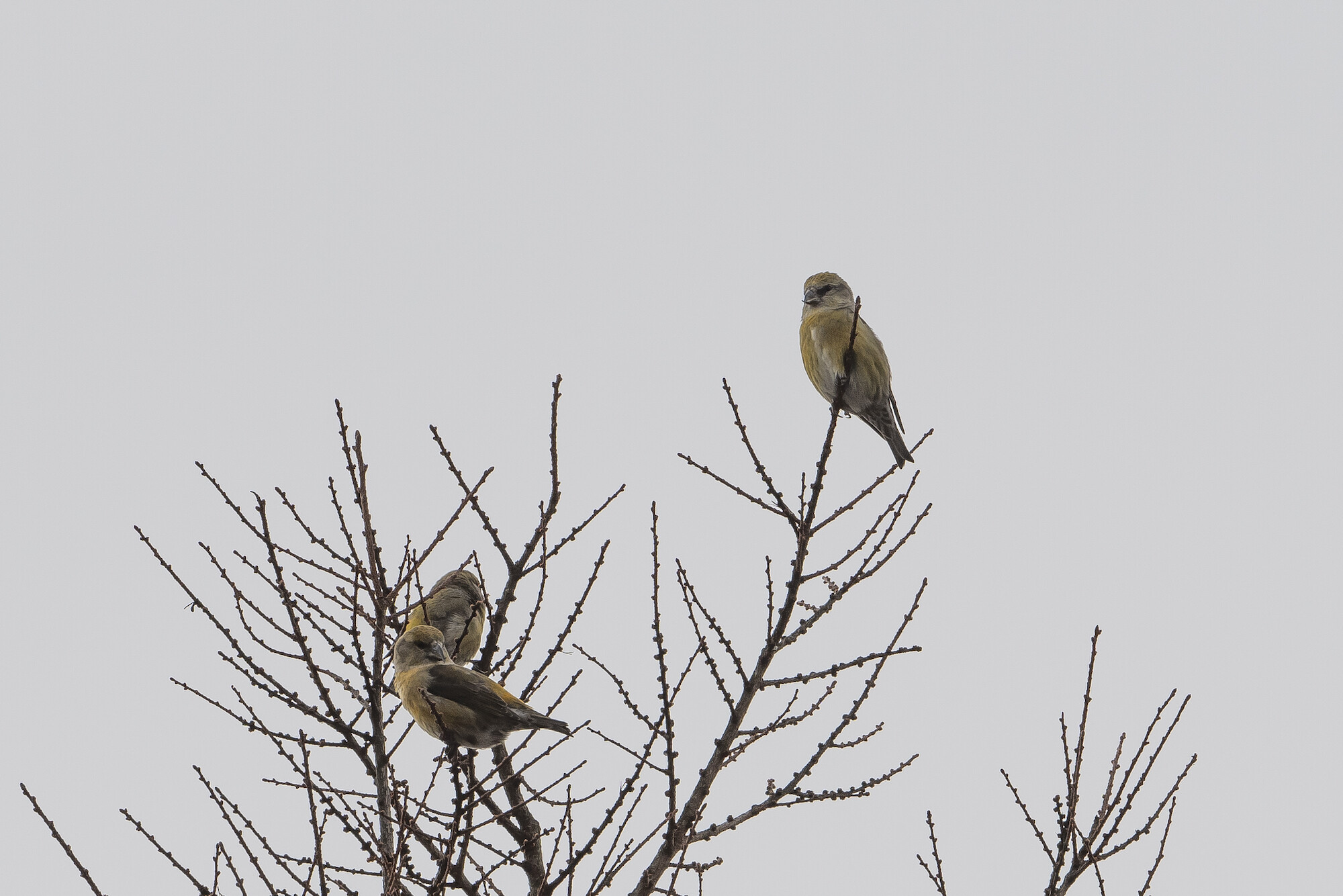 20191226長野 - 6