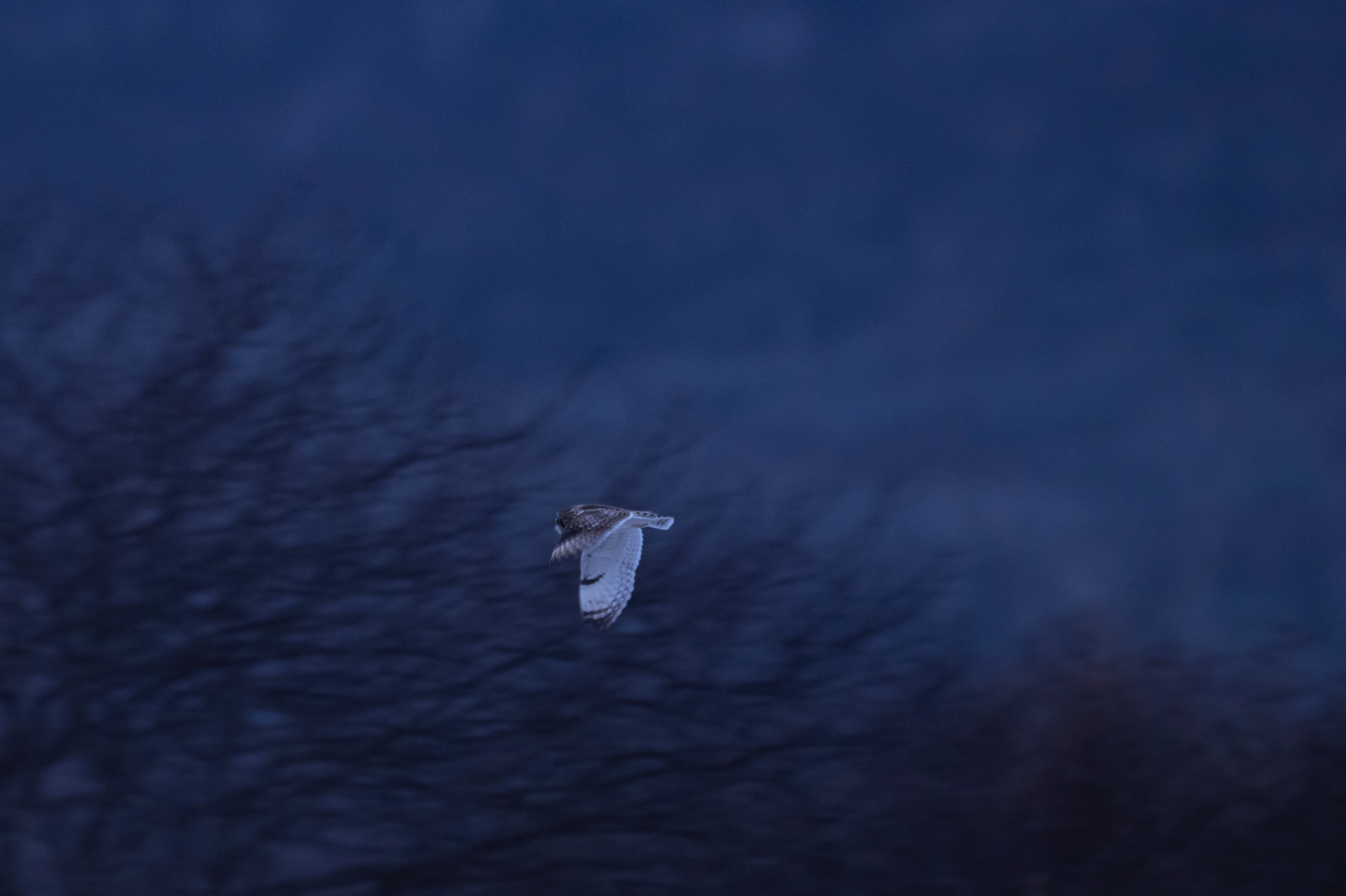 20180113長野 - 13
