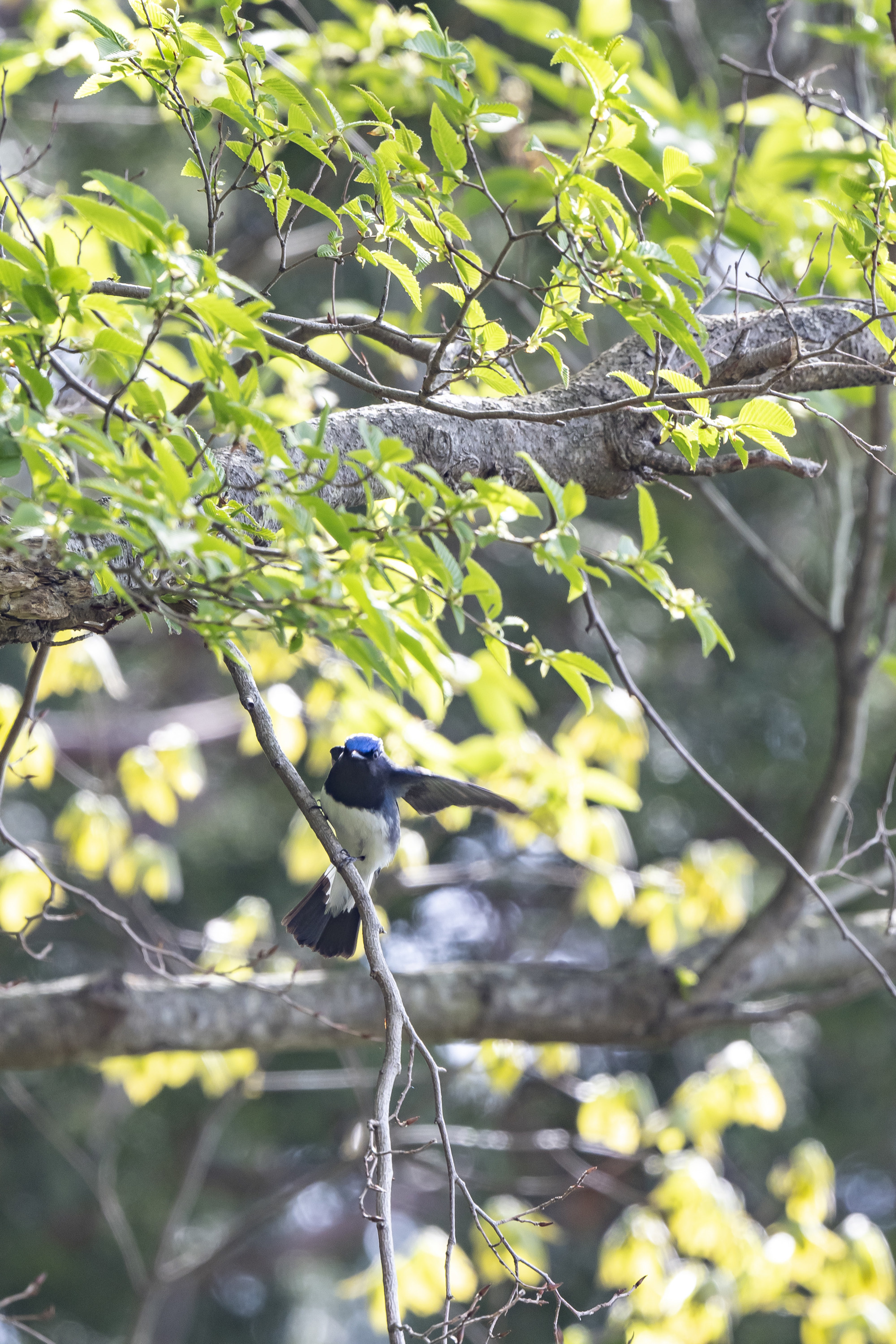 20190428神奈川 - 5