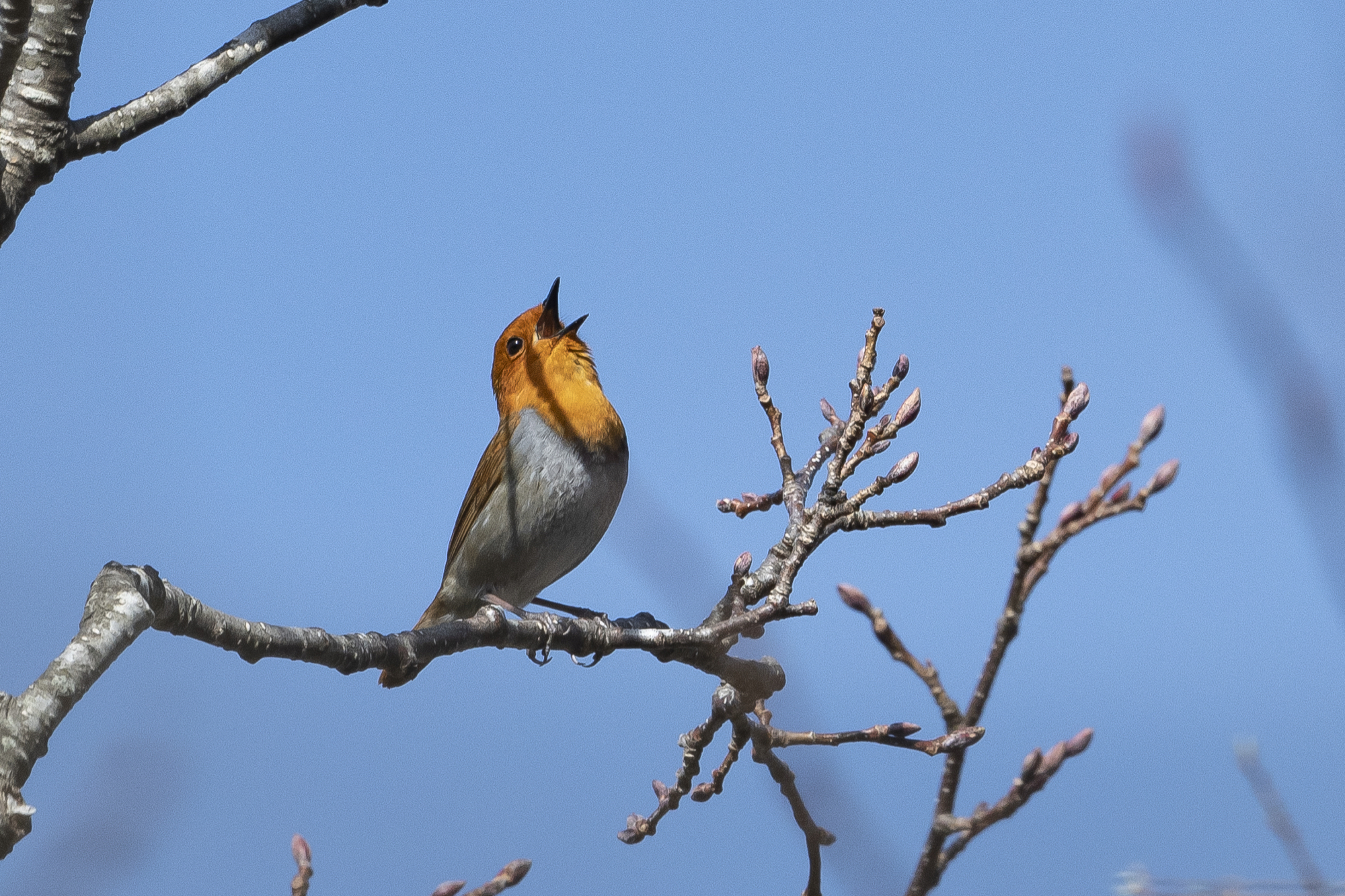 20190505長野 - 4