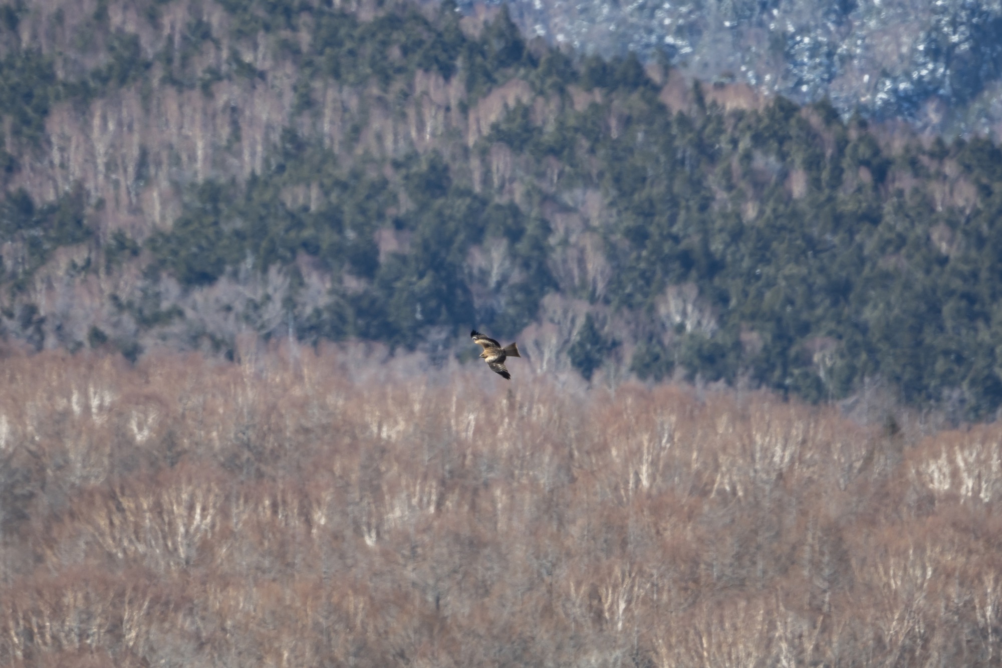 20190104長野 - 2