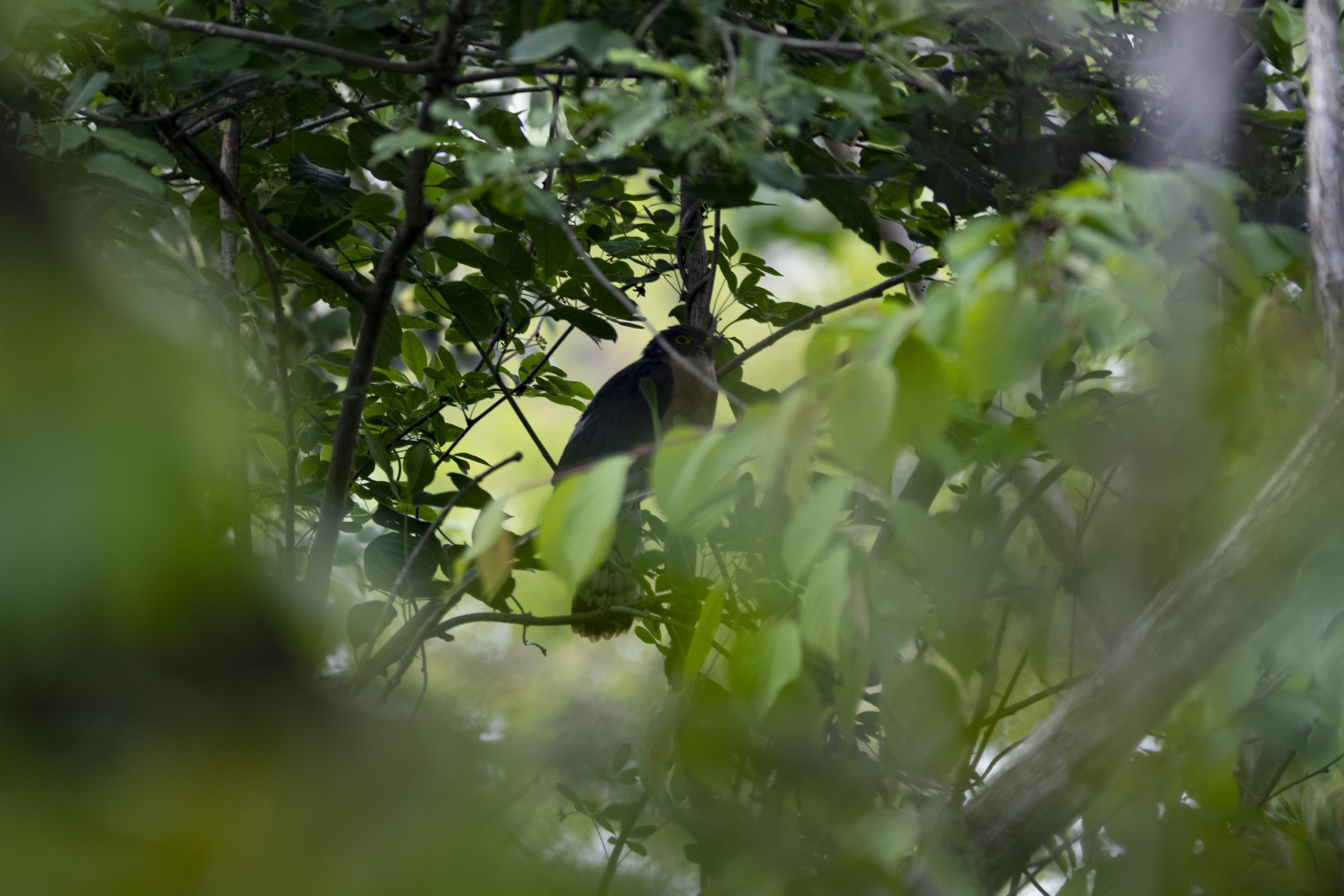 20180504石川 - 10