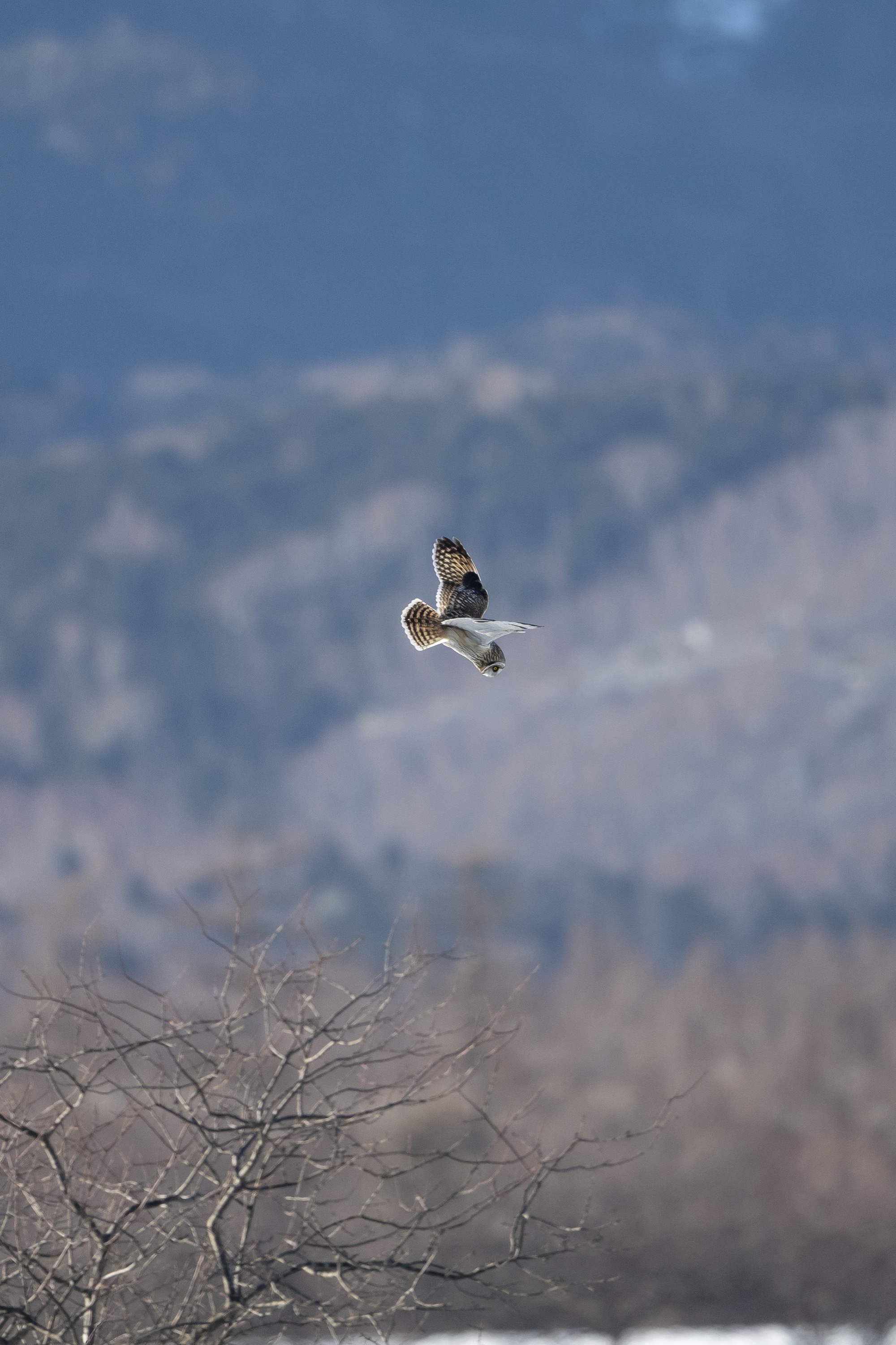 20190202長野 - 30