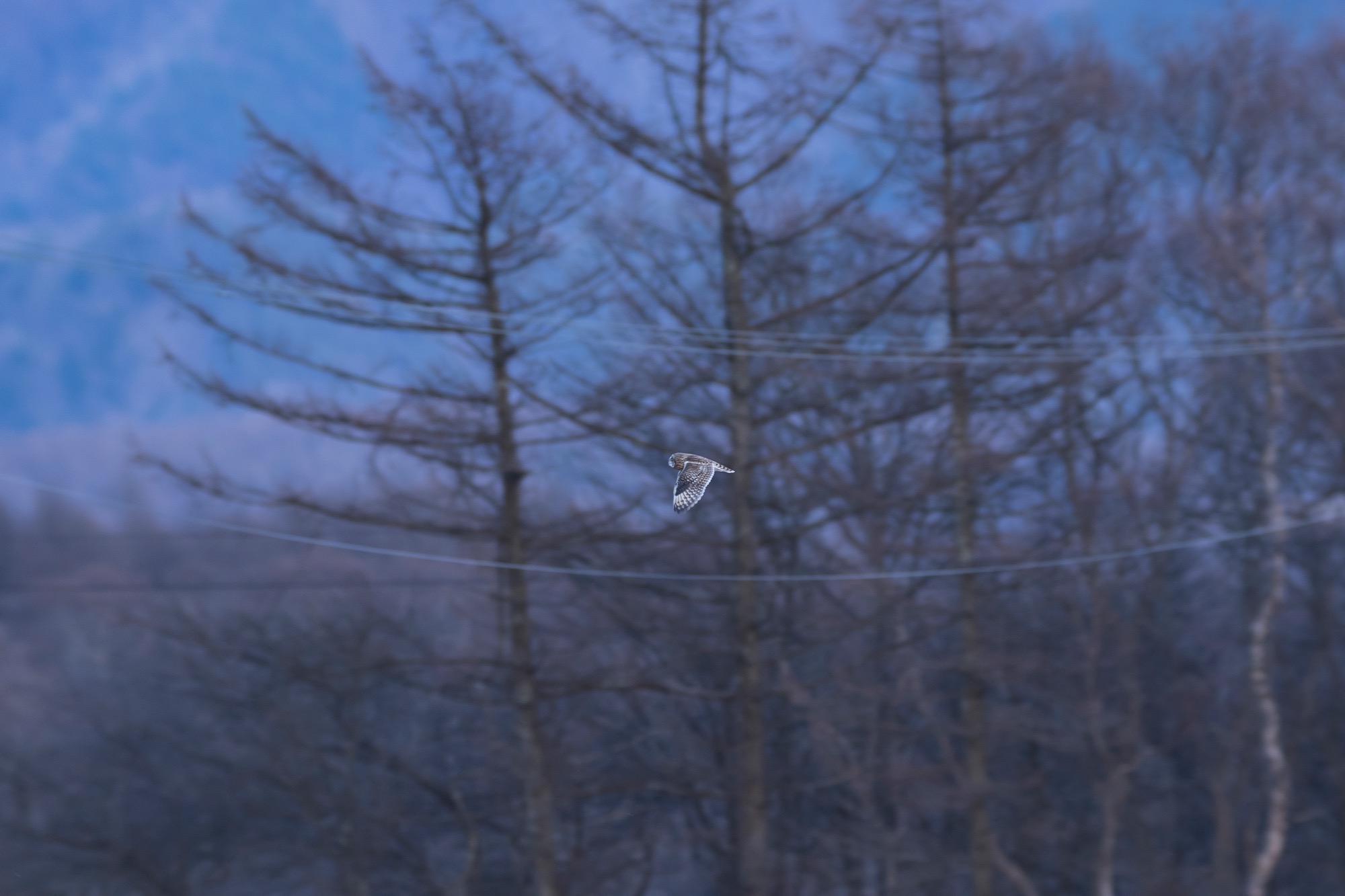 20180113長野 - 4